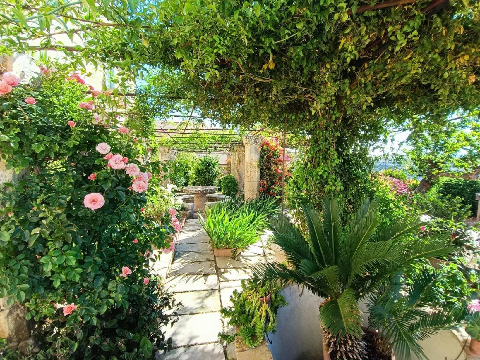 Garden in Palazzo Bernardini B & B