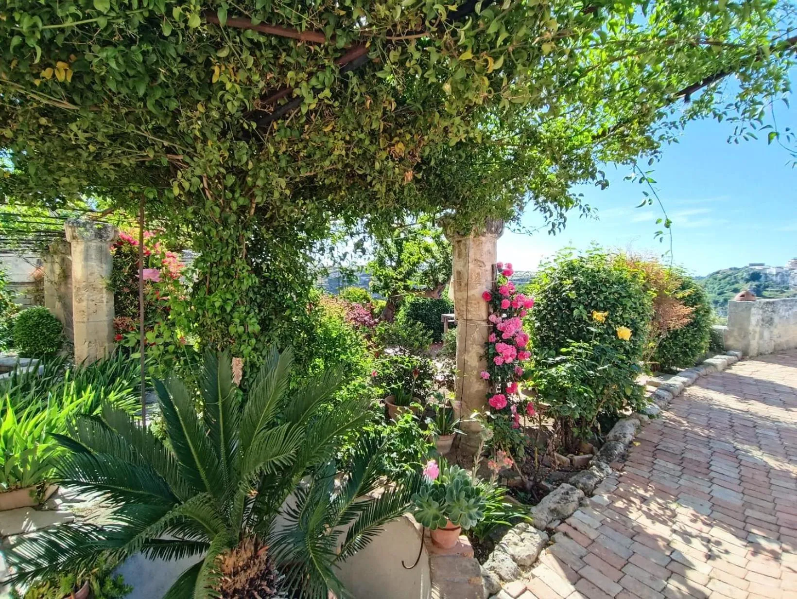 Garden in Palazzo Bernardini B & B