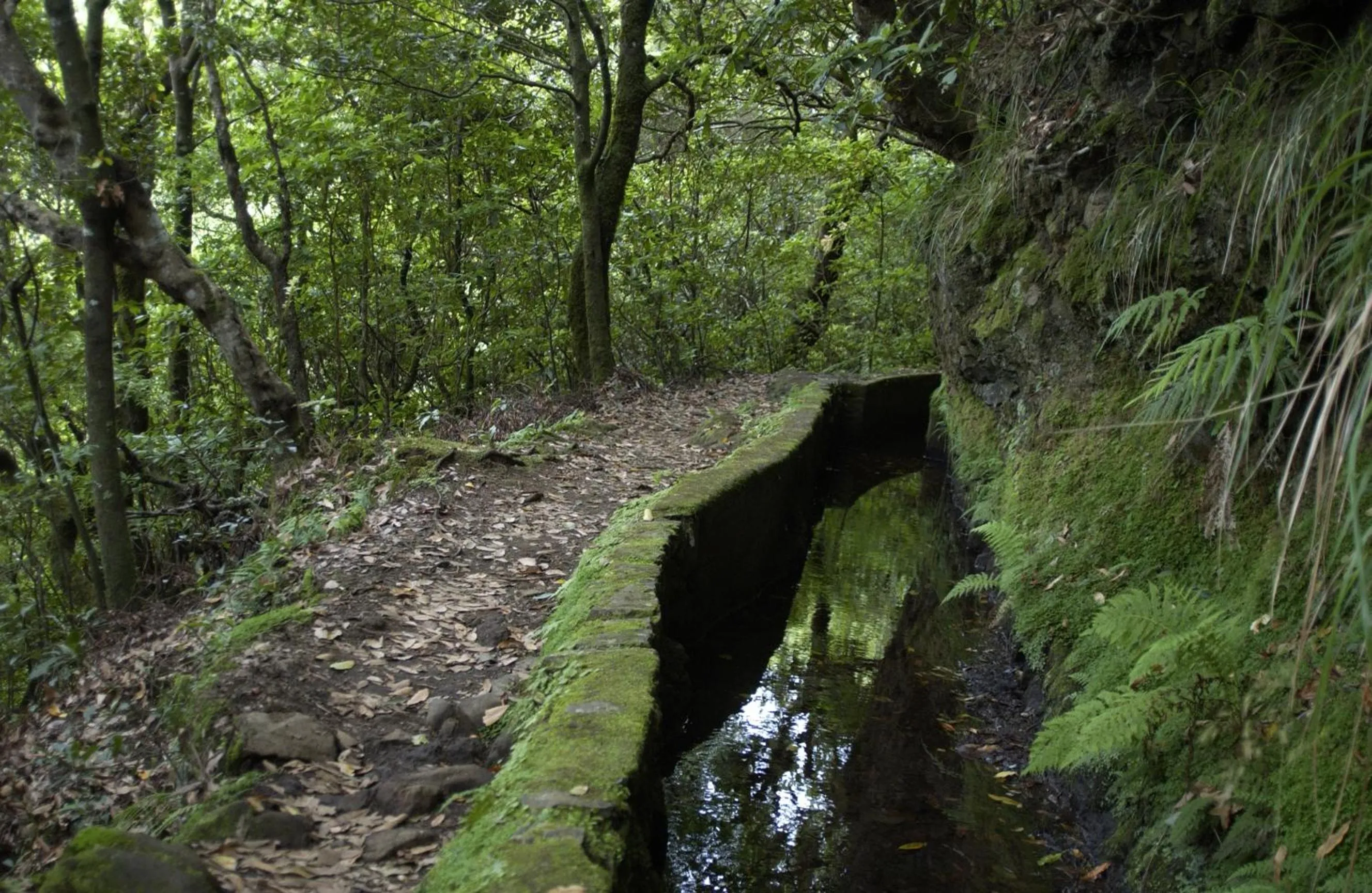 Activities in Madeira Bright Star by Petit Hotels