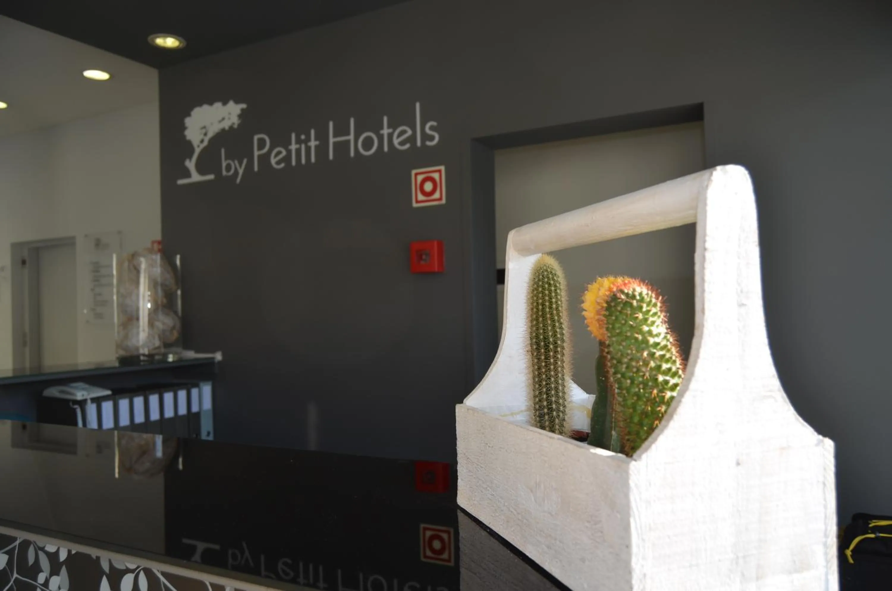 Lobby or reception in Madeira Bright Star by Petit Hotels