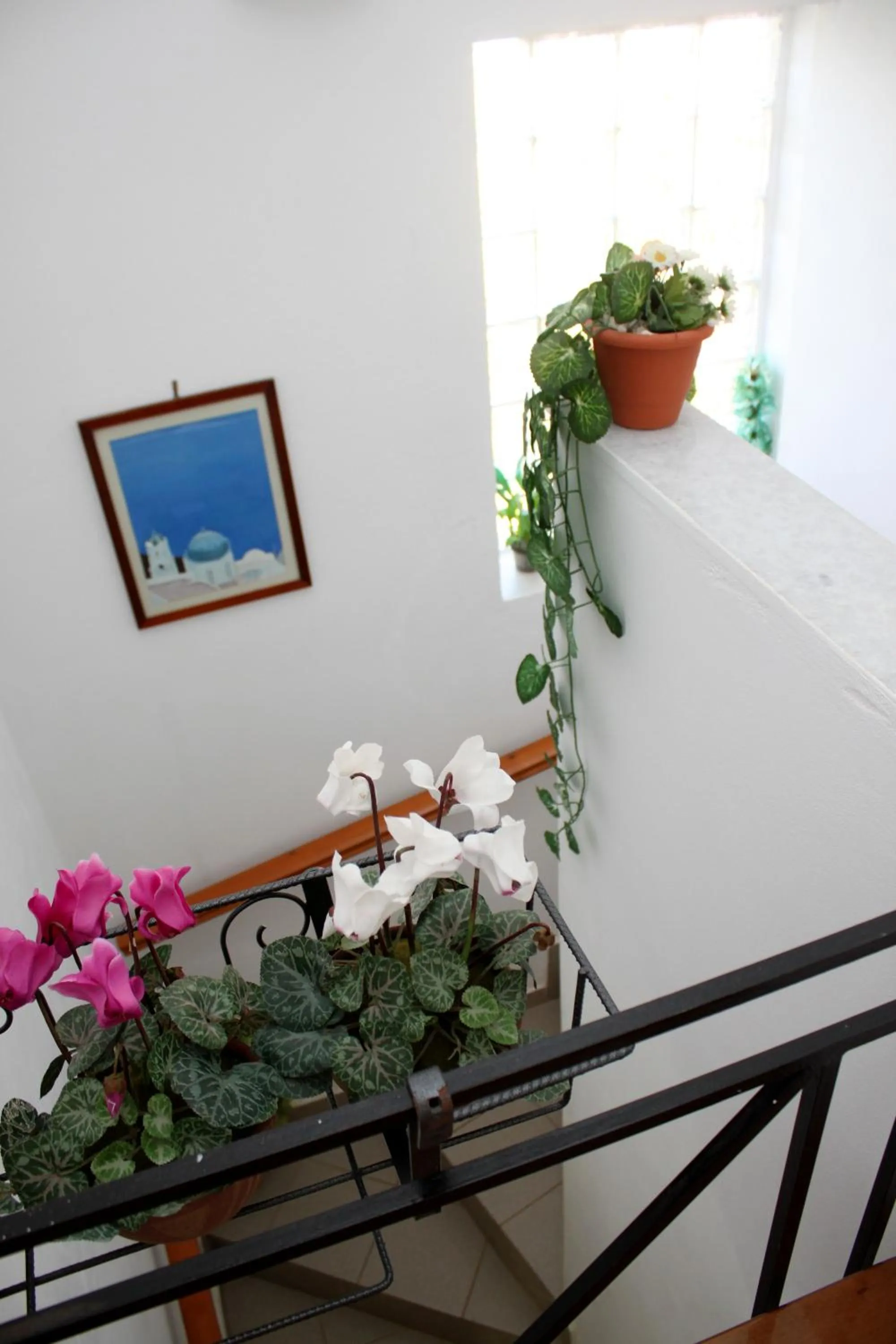 Day in Monambeles Villas