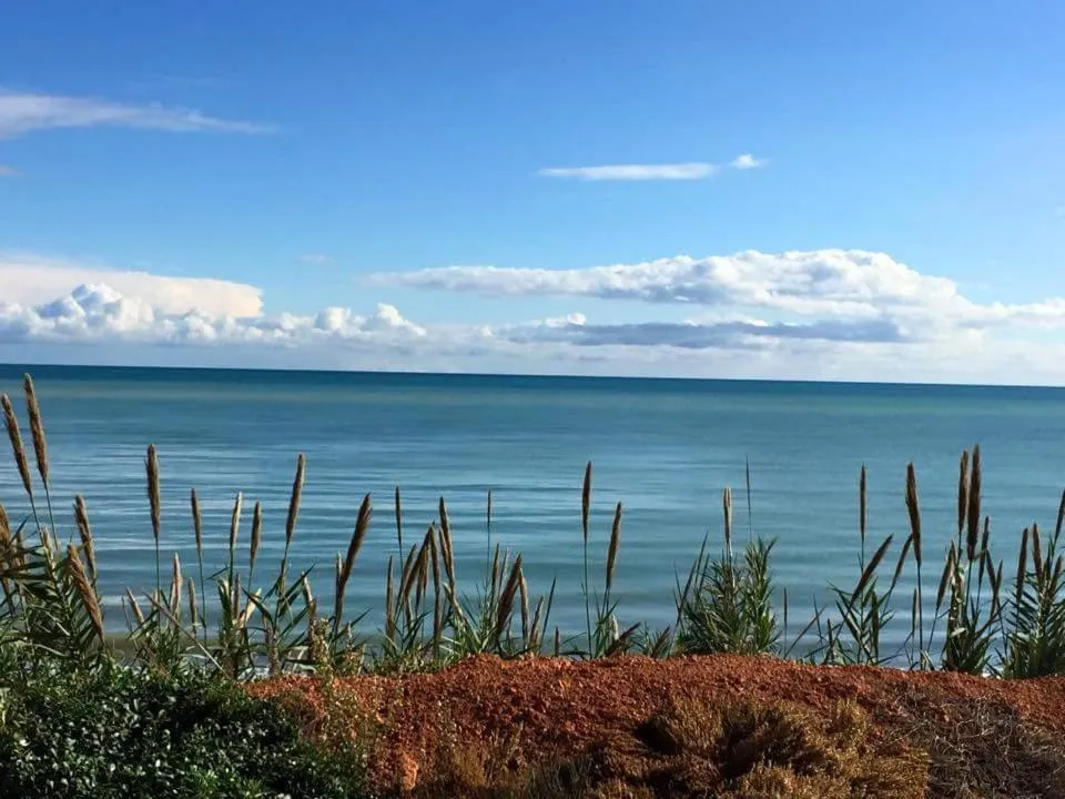 Natural landscape in Hotel Alaska