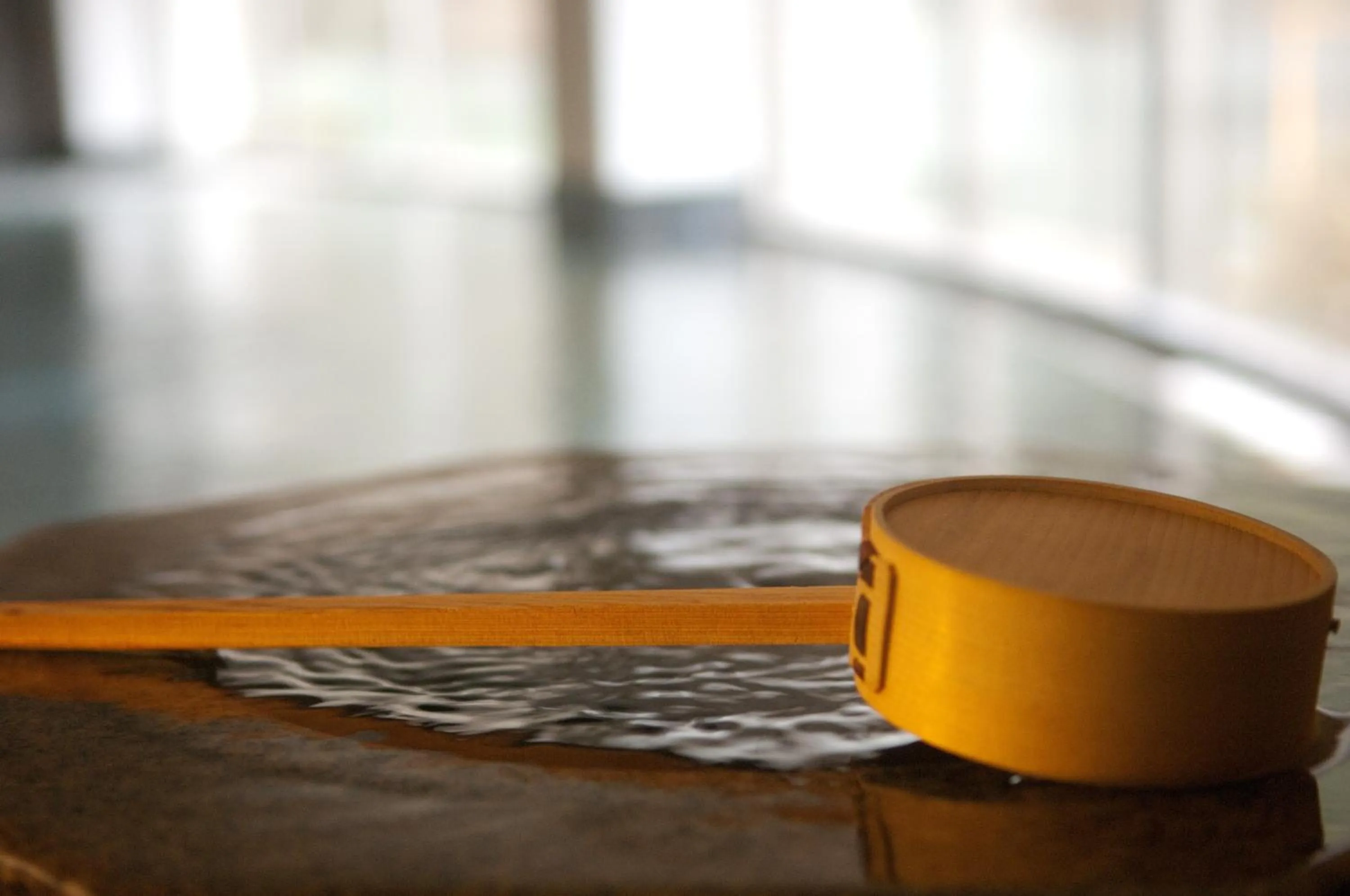 Hot Spring Bath in Entaijiso