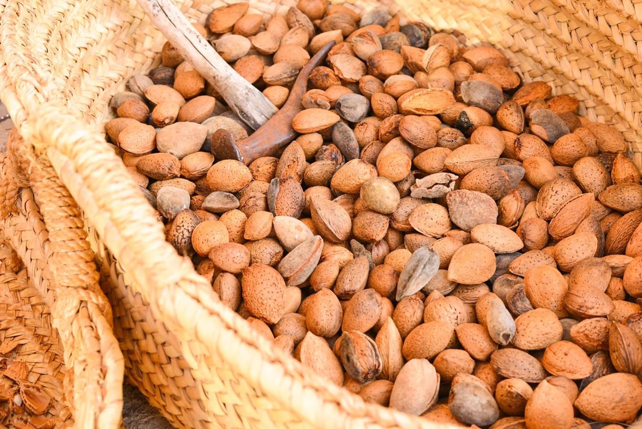 Decorative detail in Sa Cabana Hotel & Spa - Adults Only