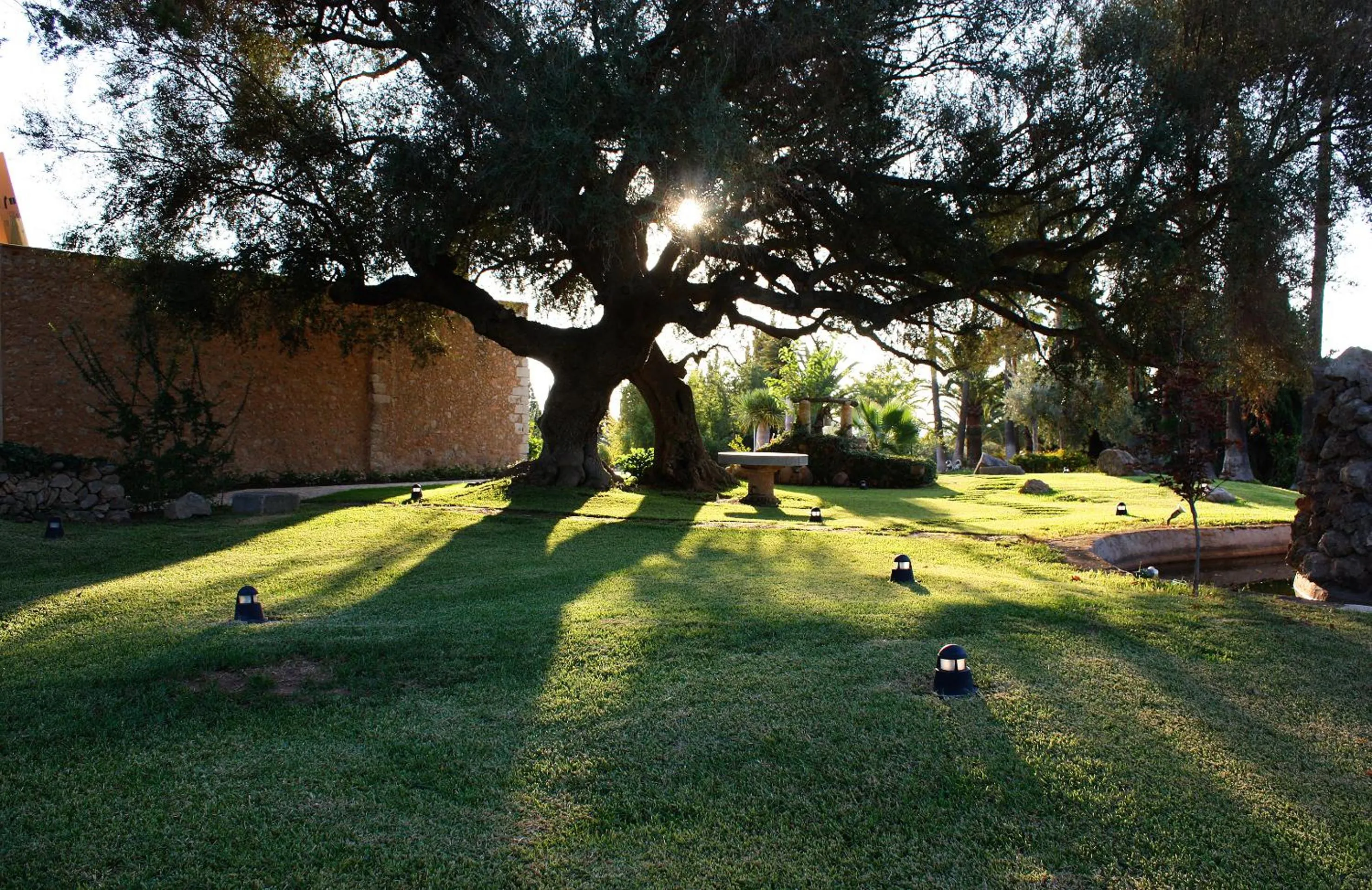 Garden in Sa Cabana Hotel & Spa - Adults Only