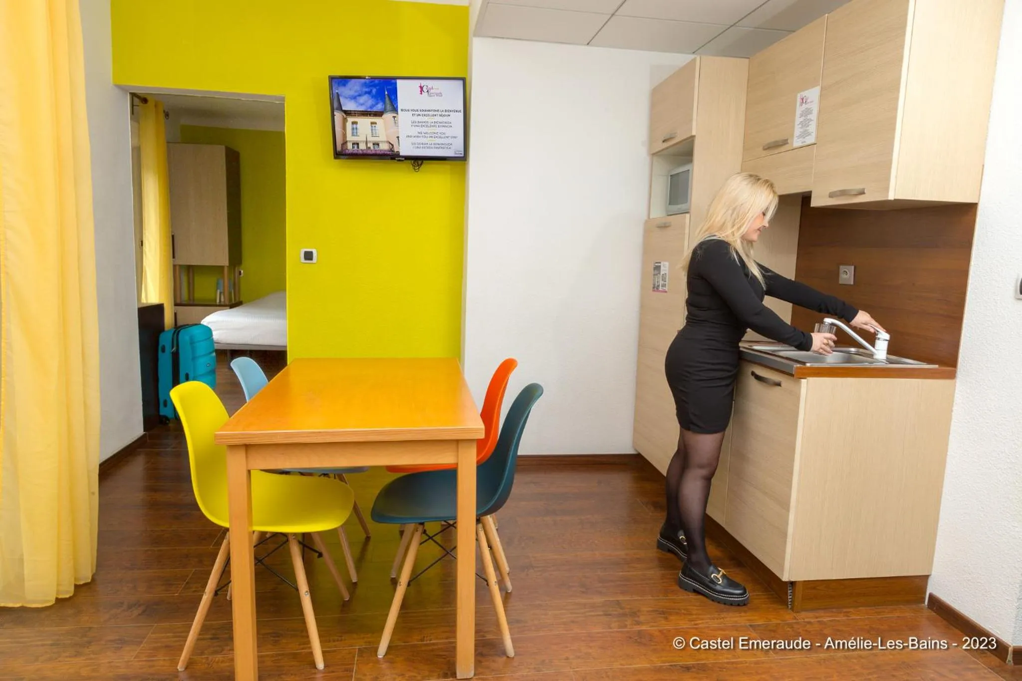 Kitchen or kitchenette in Appart'Hotel Castel Emeraude, Charme et Caractère