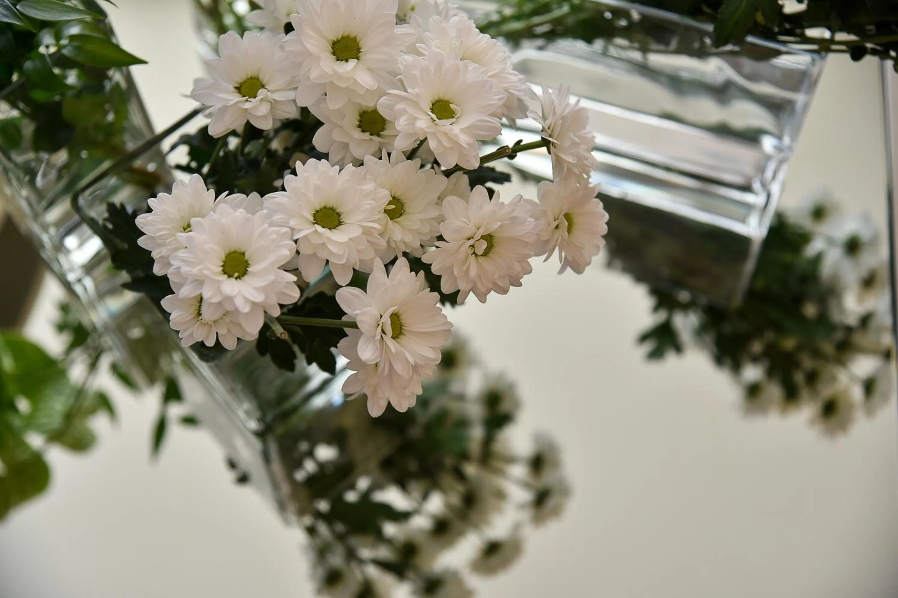 Communal lounge/ TV room in Hotel Anthony