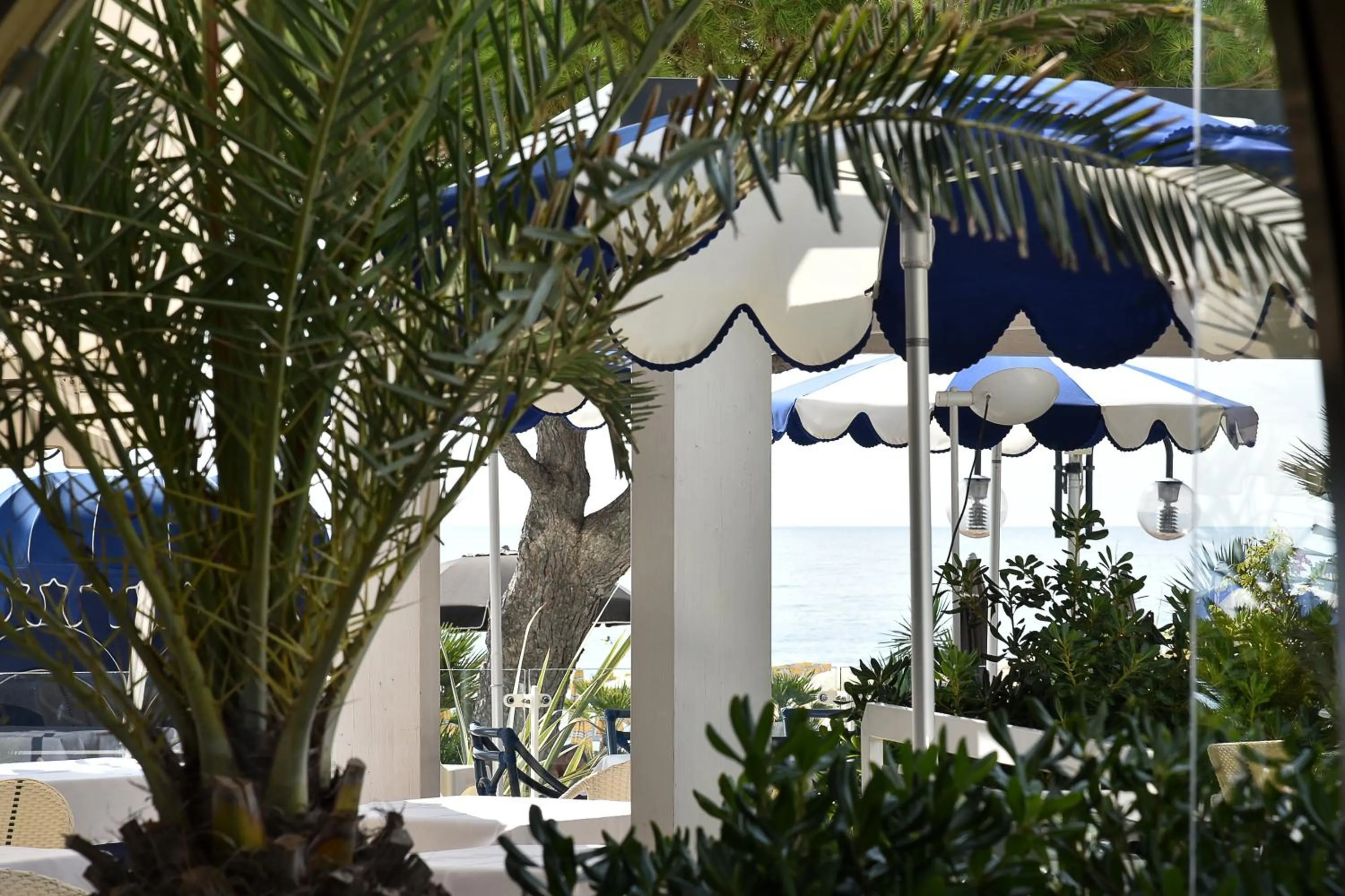 Area and facilities in Hotel Anthony