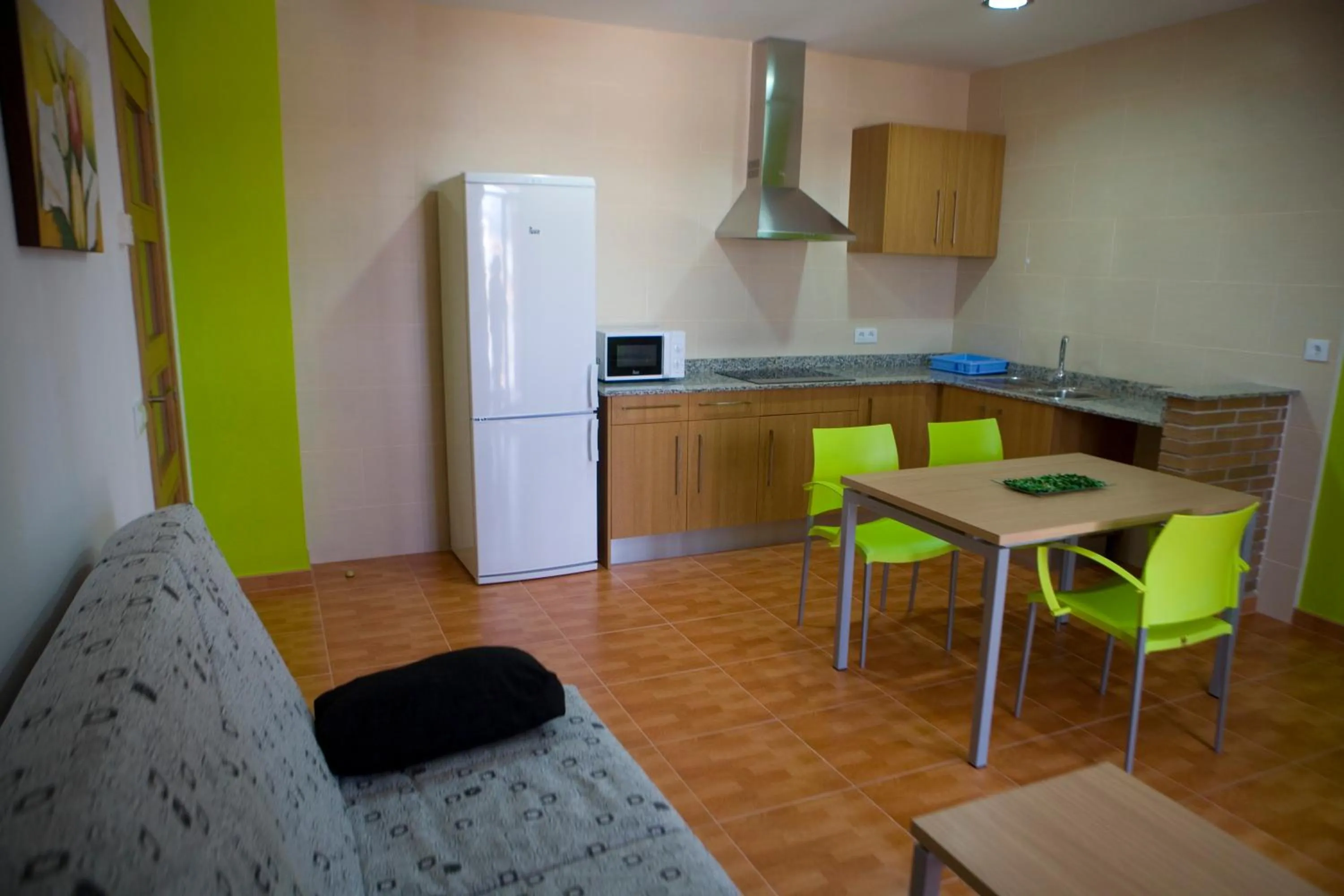 Kitchen or kitchenette in Aparthotel Can Gallart