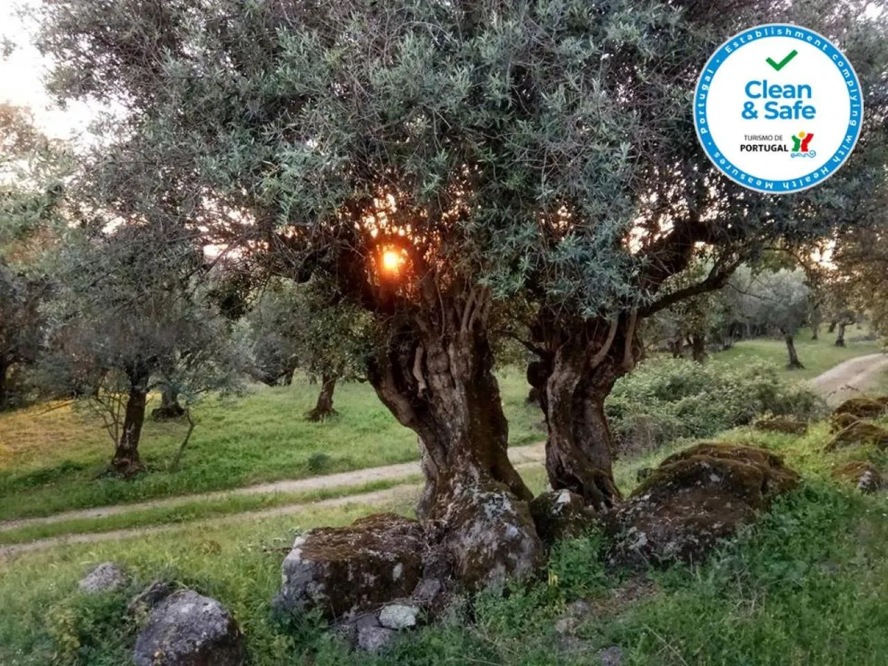 Garden in Convento da Provença