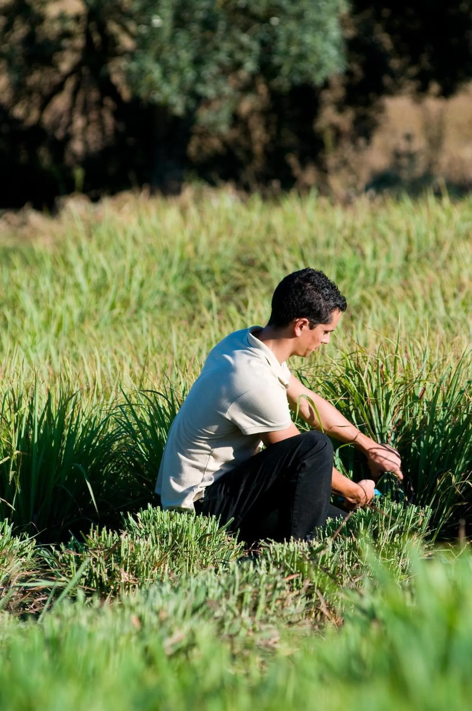 Area and facilities in Quinta Do Mel