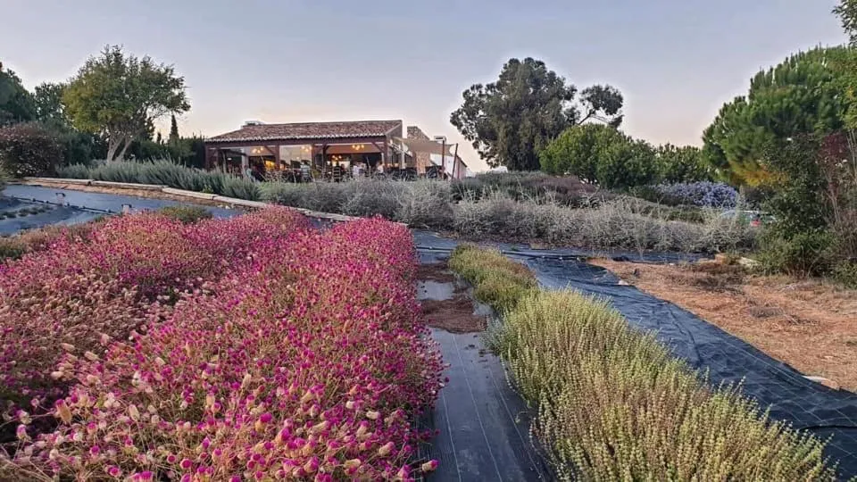 Natural landscape in Quinta Do Mel