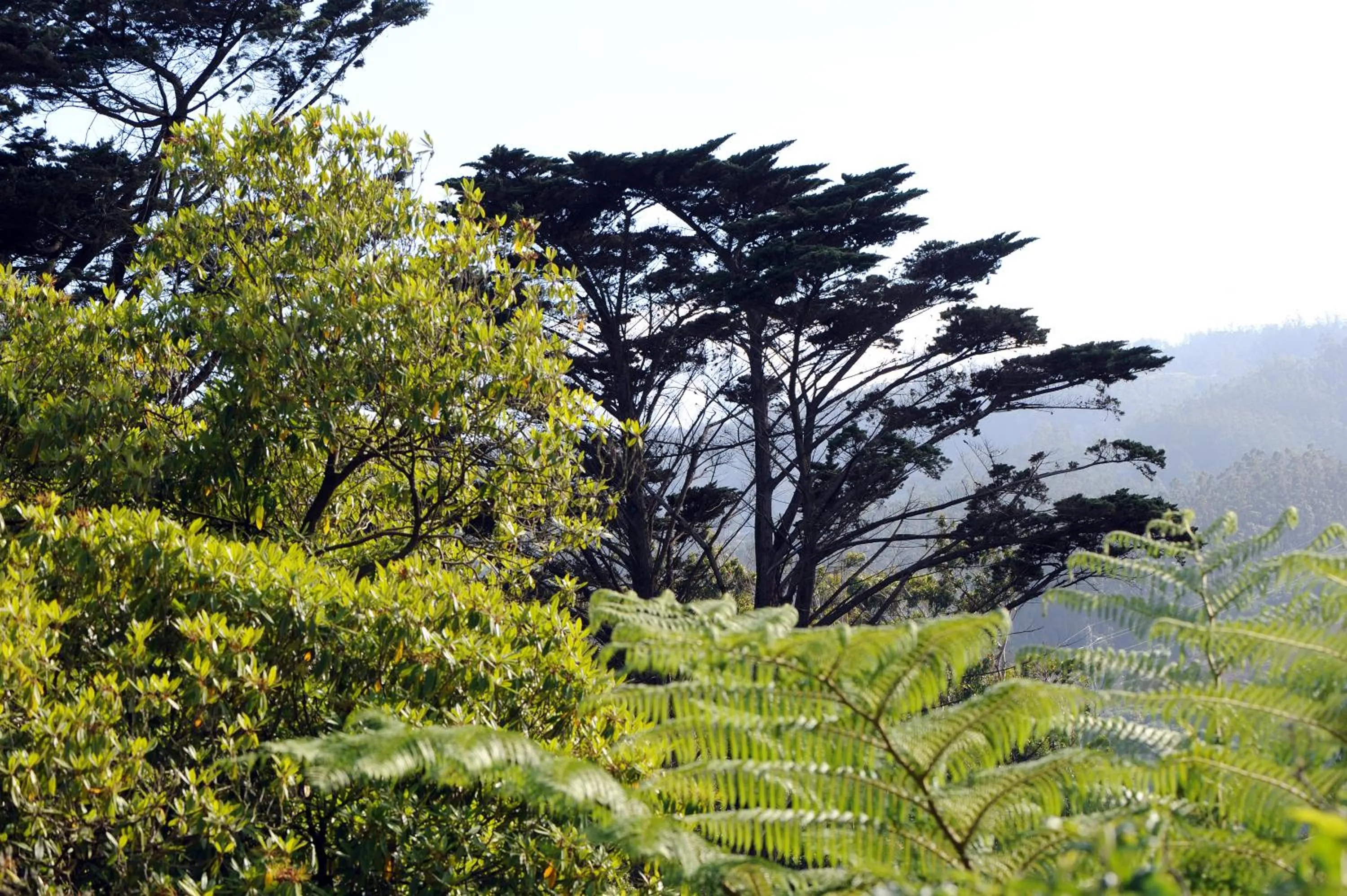 Garden in Quinta Da Cova Do Milho
