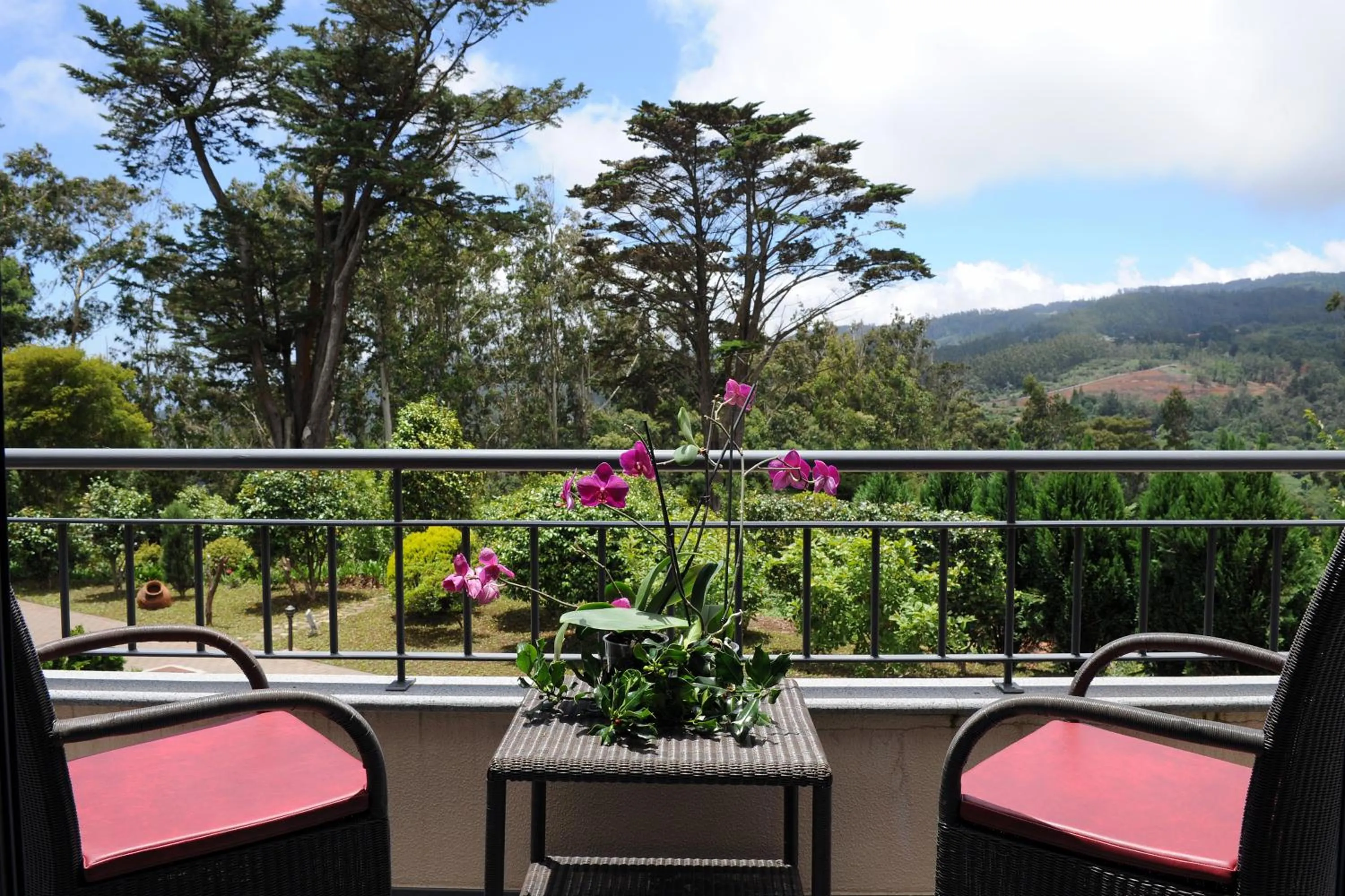 Balcony/Terrace in Quinta Da Cova Do Milho