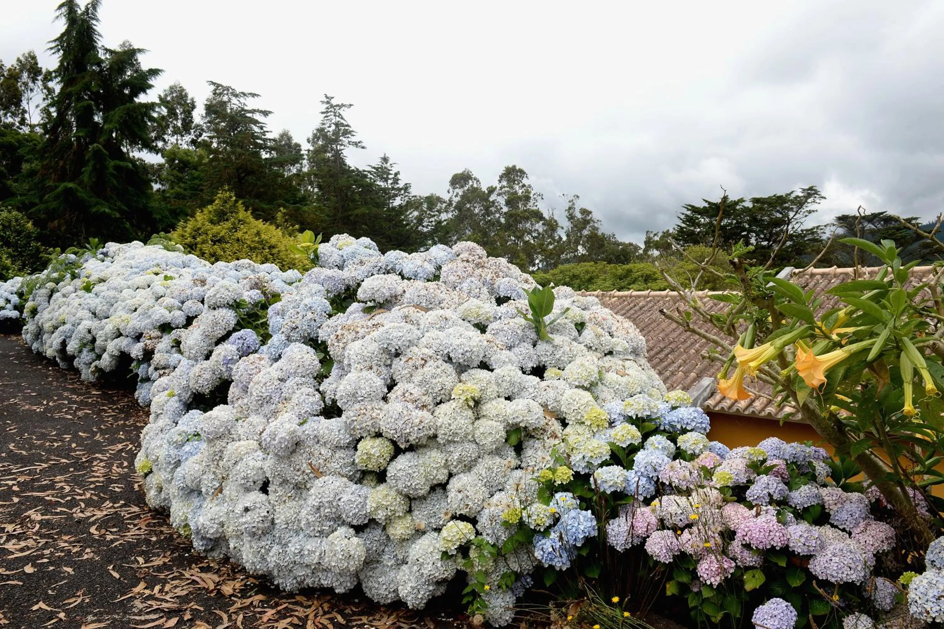 View (from property/room) in Quinta Da Cova Do Milho