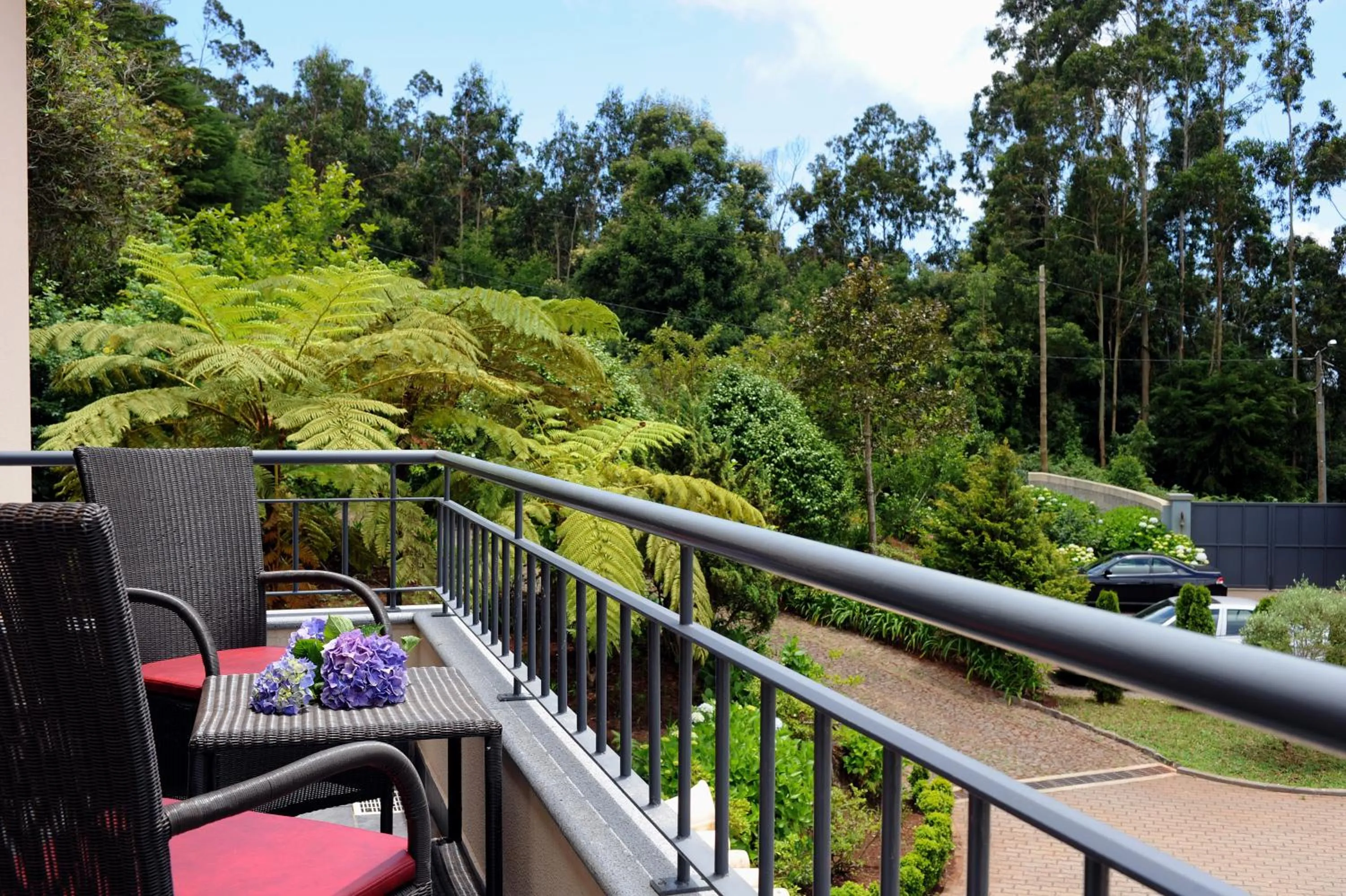 Balcony/Terrace in Quinta Da Cova Do Milho