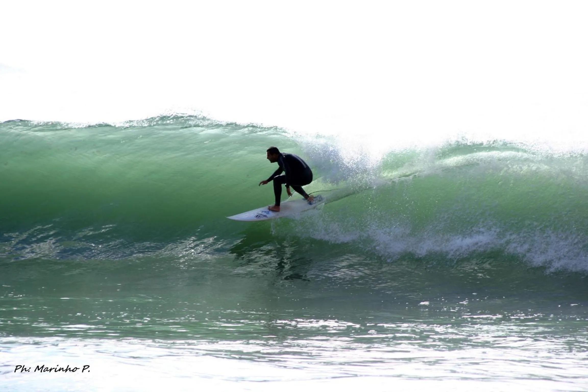 Area and facilities in Villas Mare Residence