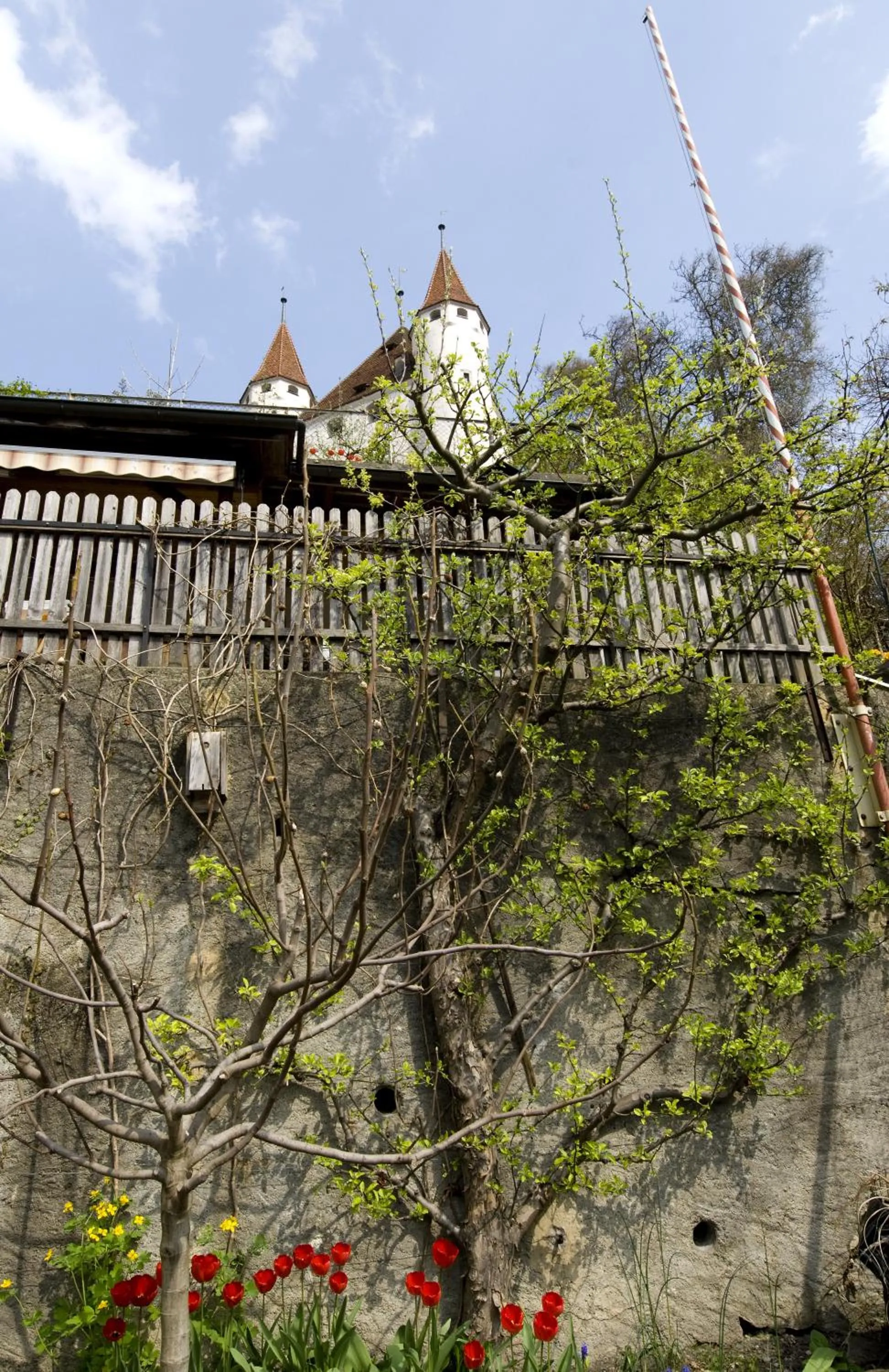 Garden in Hotel Restaurant Schwert Thun