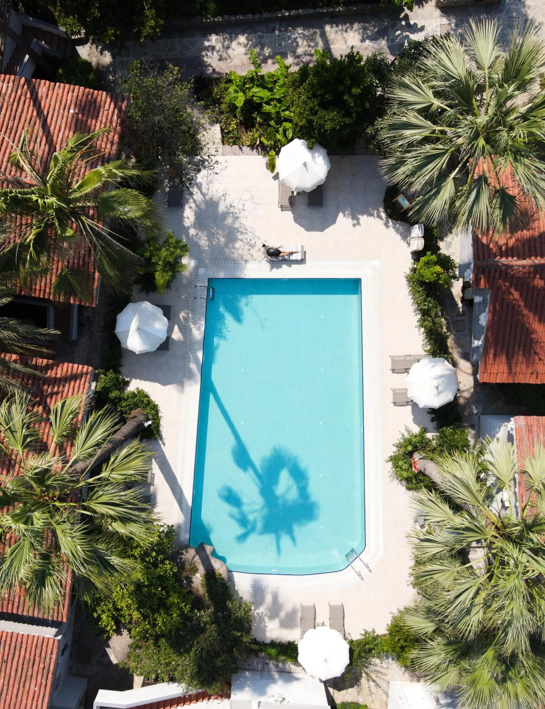 Swimming pool in Golden Key Bordubet