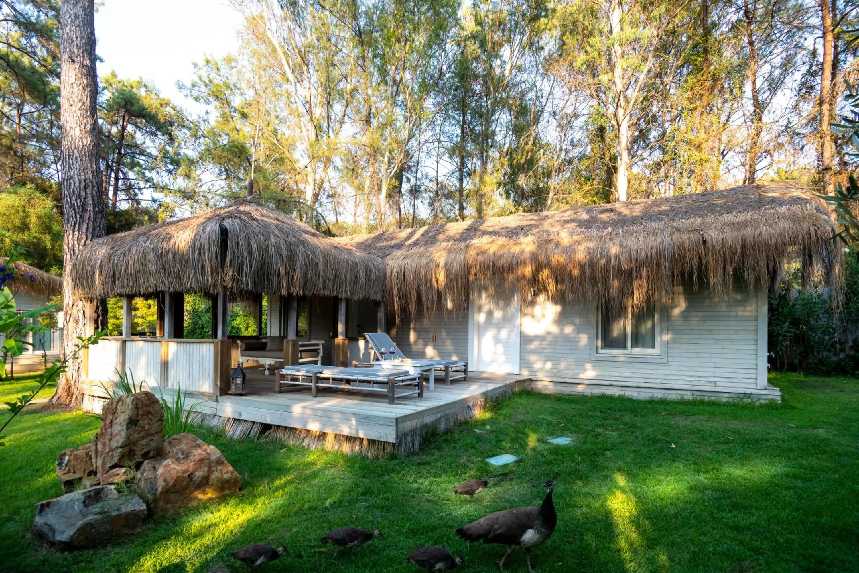 Property building in Golden Key Bordubet