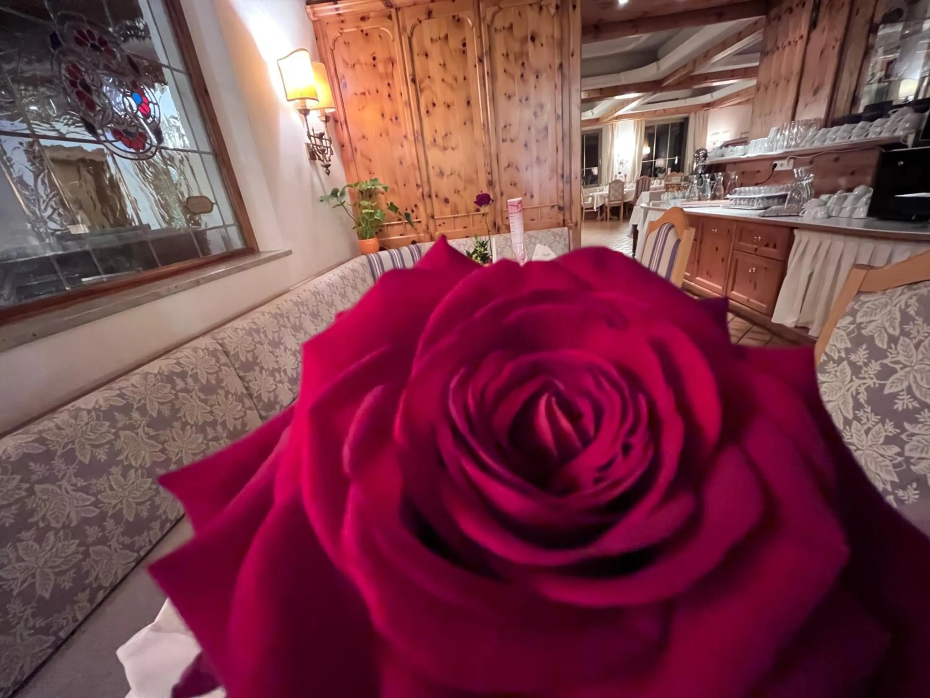 Restaurant/places to eat in Hotel Zum Stern