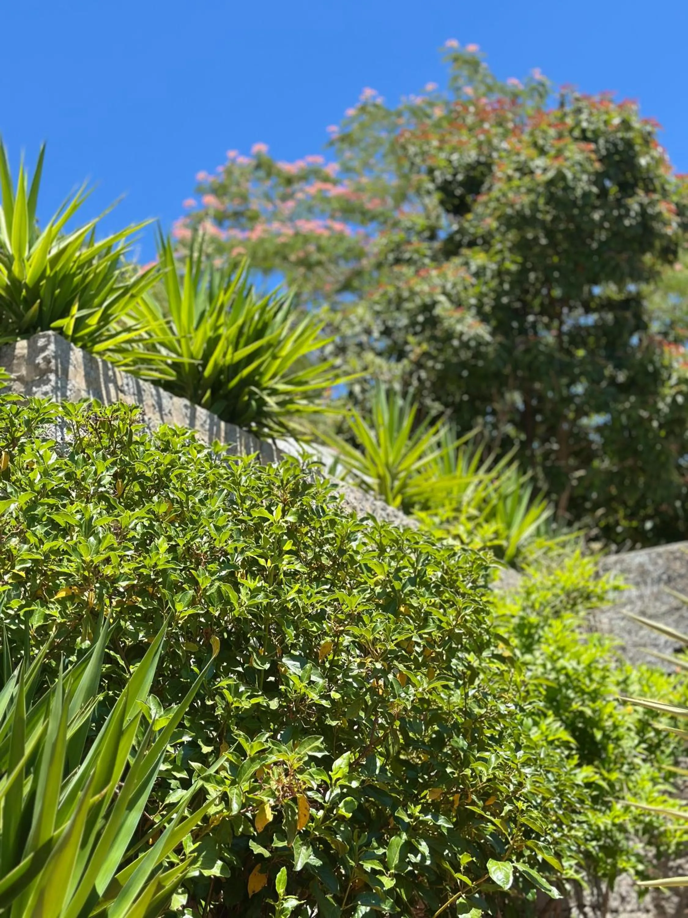 Natural landscape in Aqua Vista Monchique Hôtel