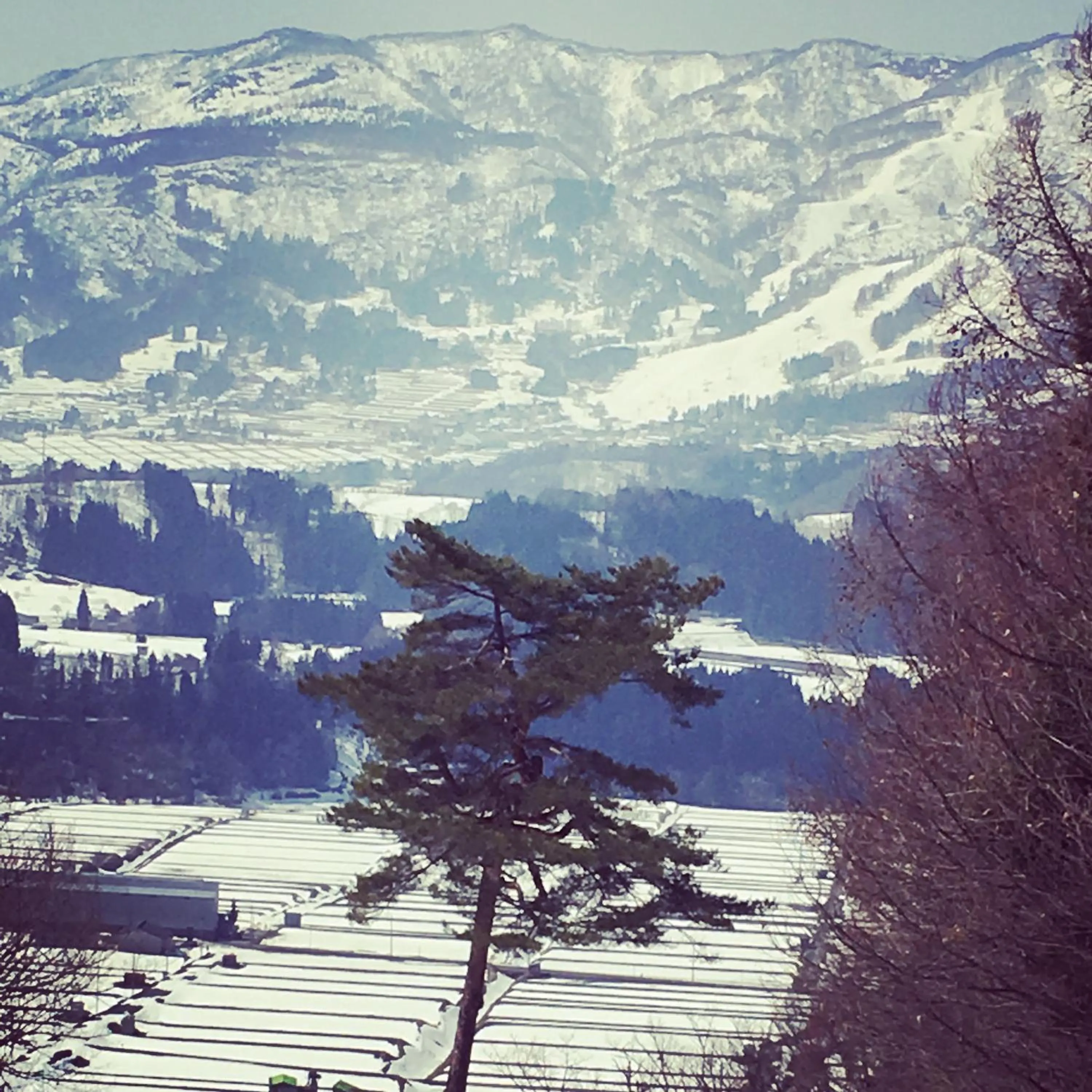 Nozawa Onsen BASECAMP