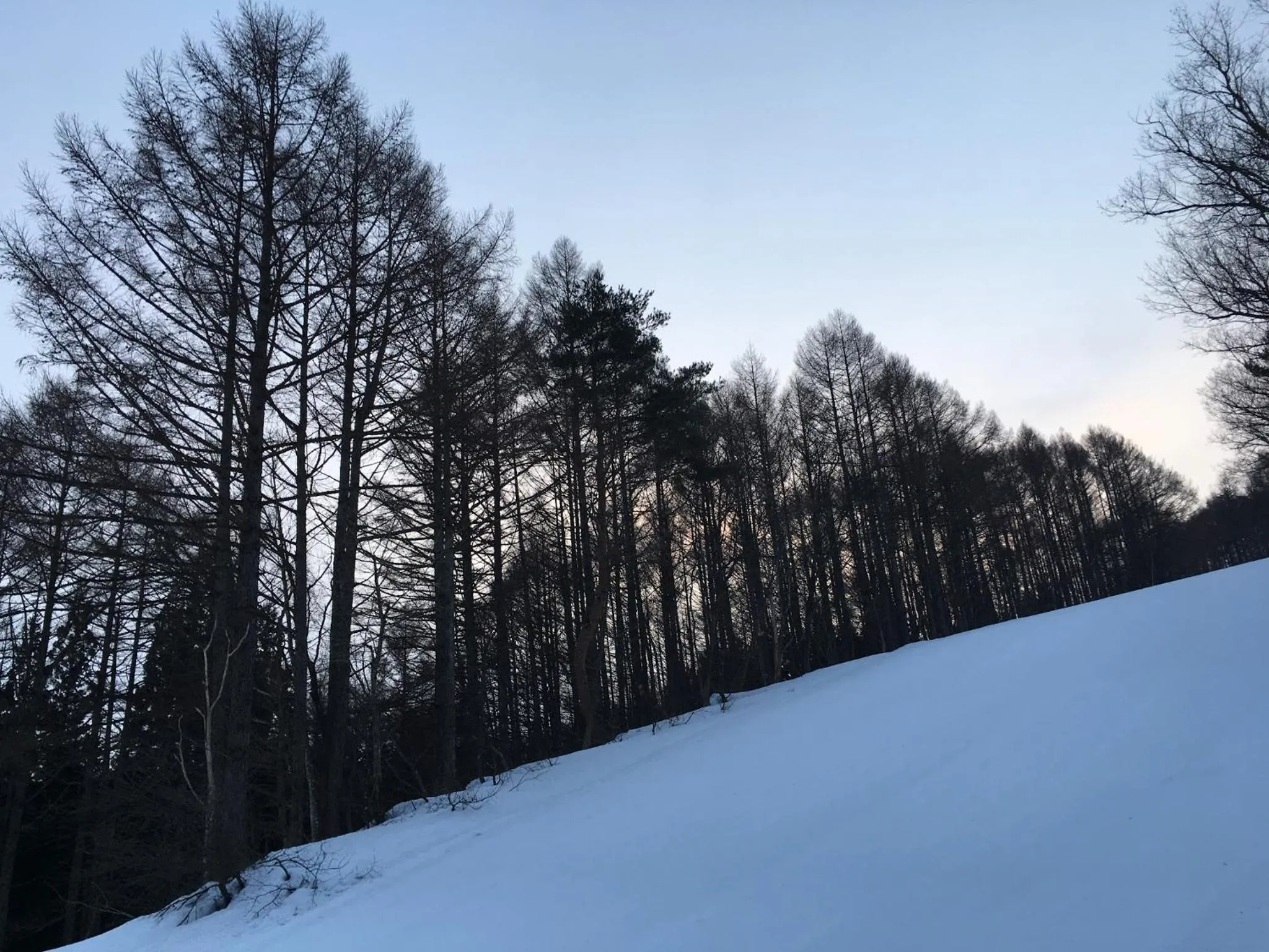 Natural landscape in Nozawa Onsen BASECAMP