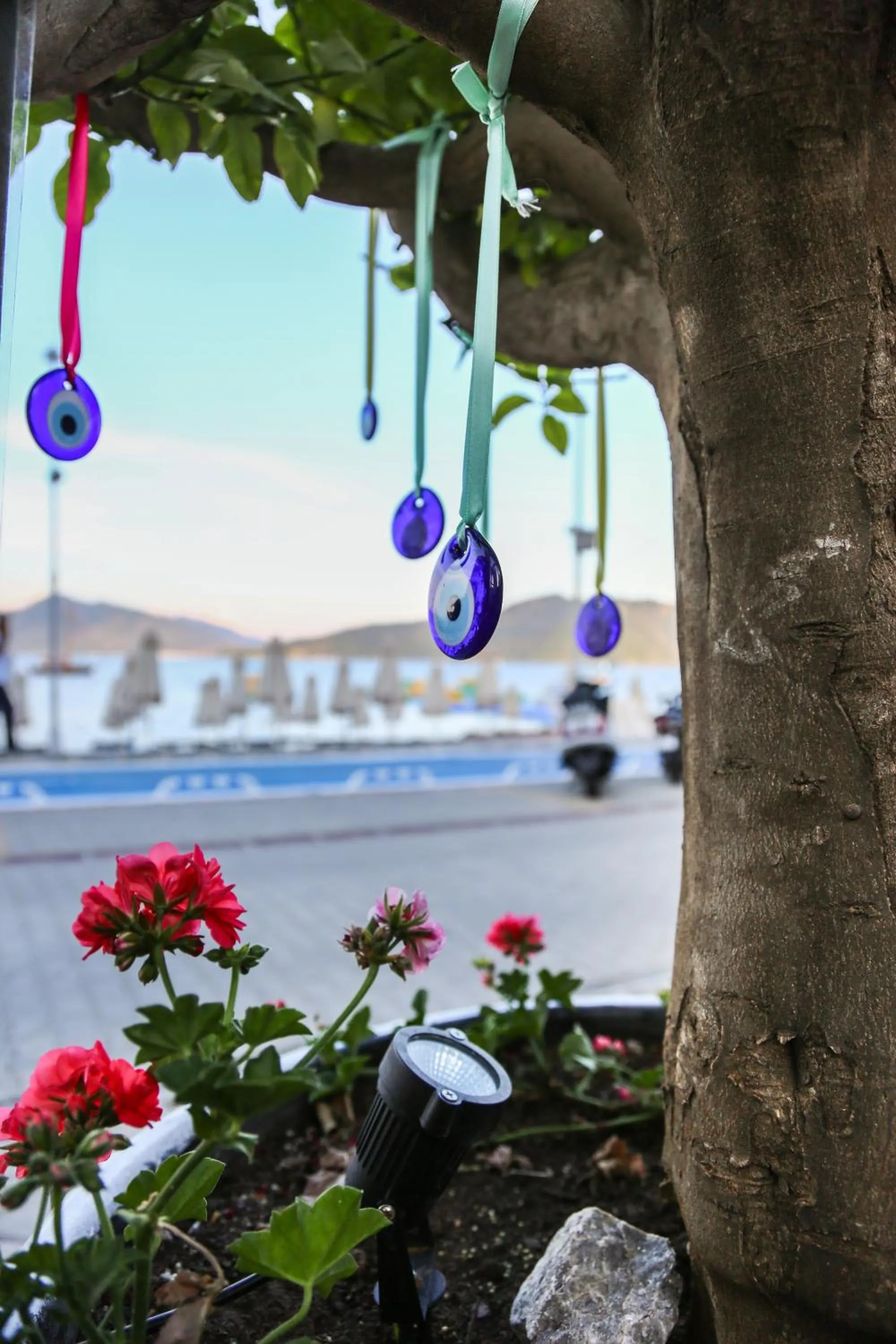 Decorative detail in B&B Yuzbasi Beach