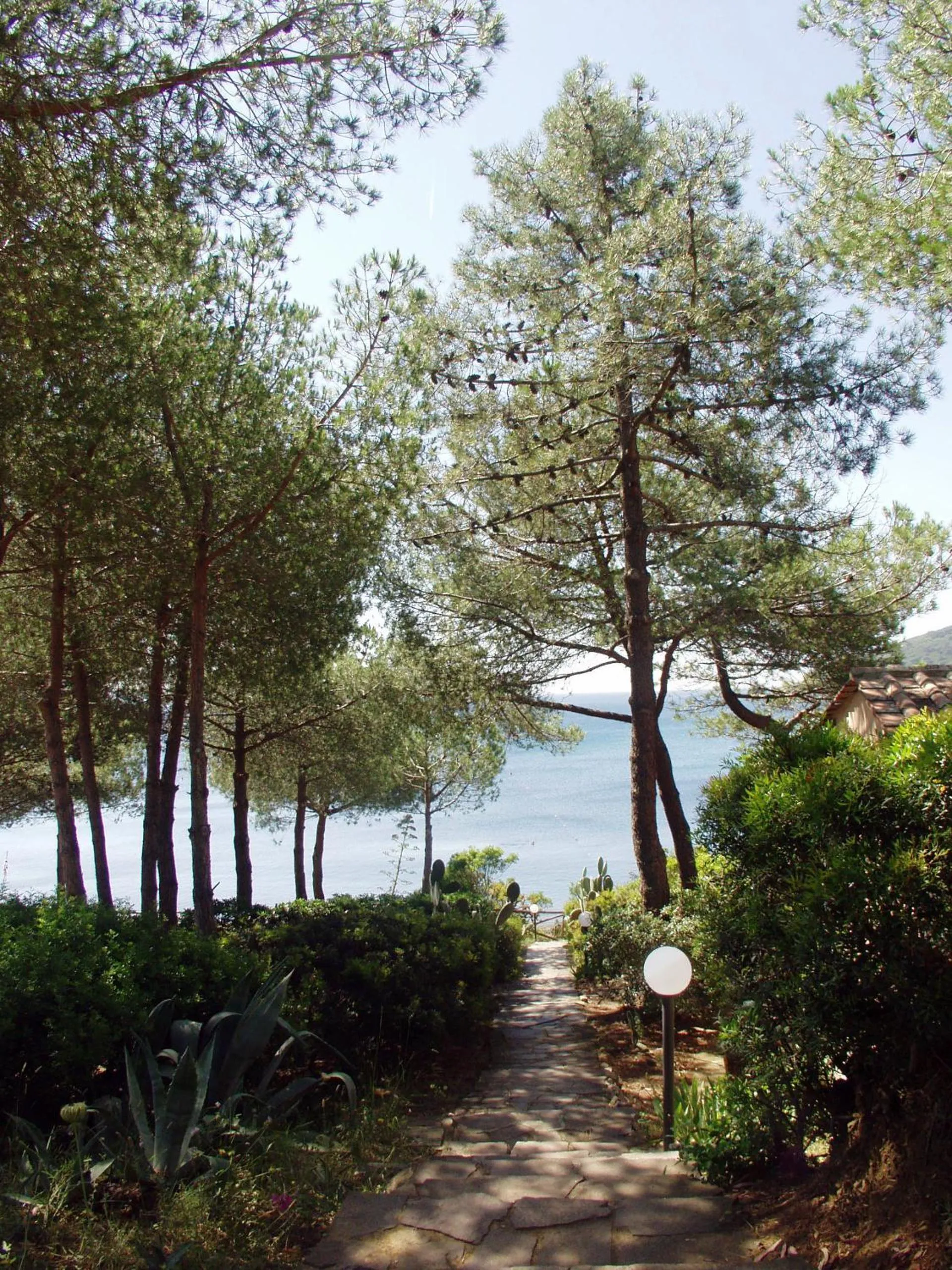 Natural landscape in Hotel Capo Sud