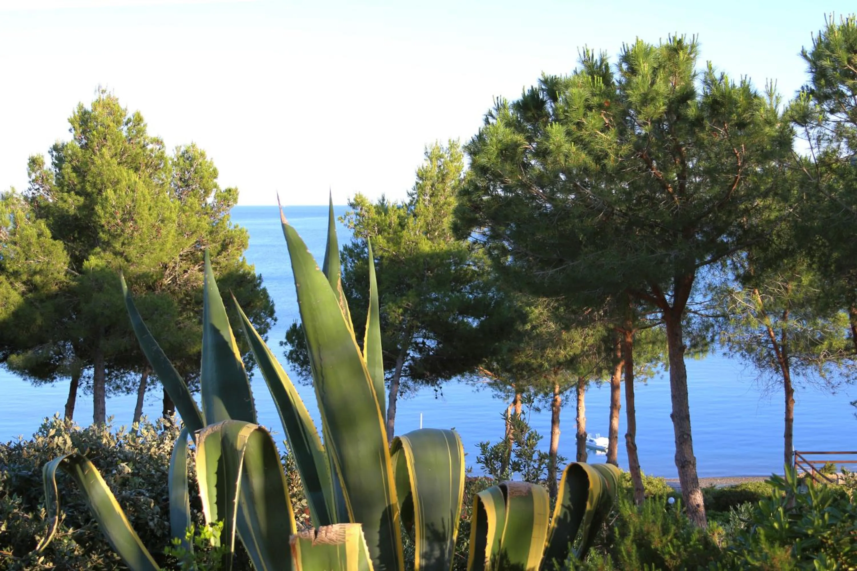 Garden in Hotel Capo Sud