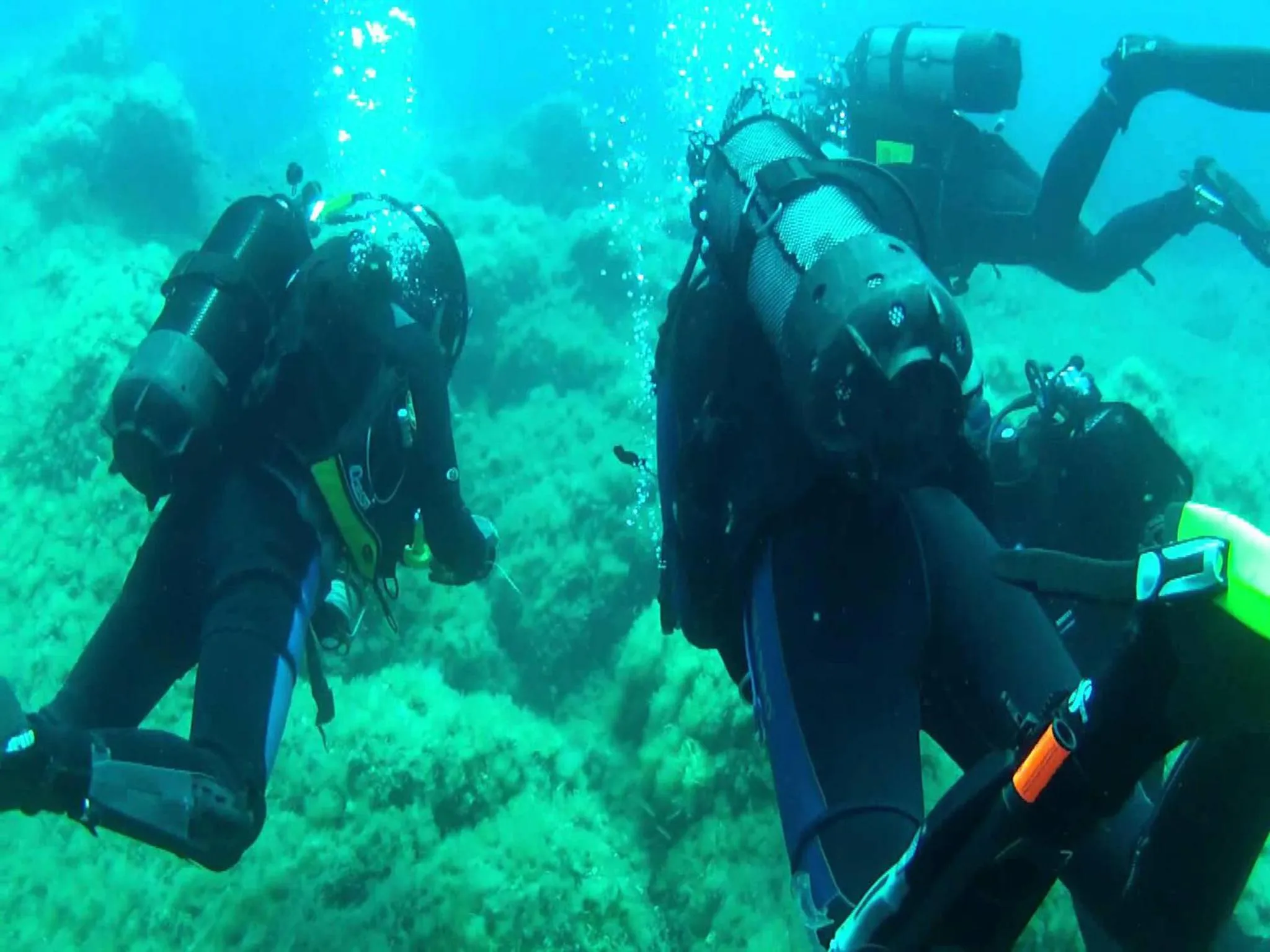 Activities in Hotel Capo Sud