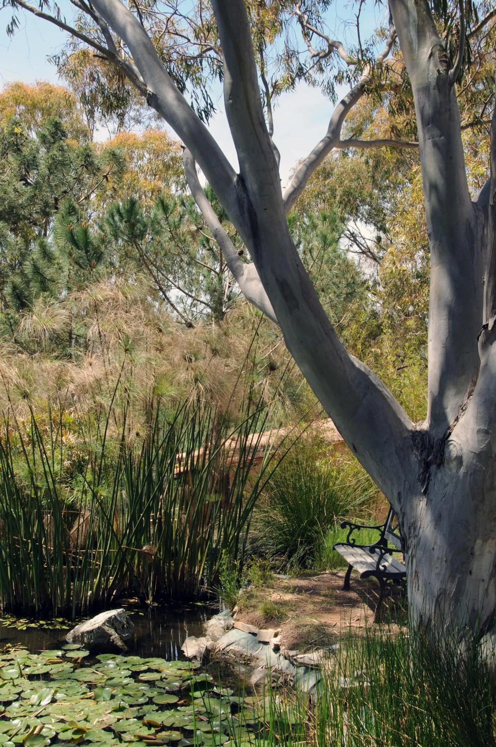 Natural landscape in Hotel Capo Sud