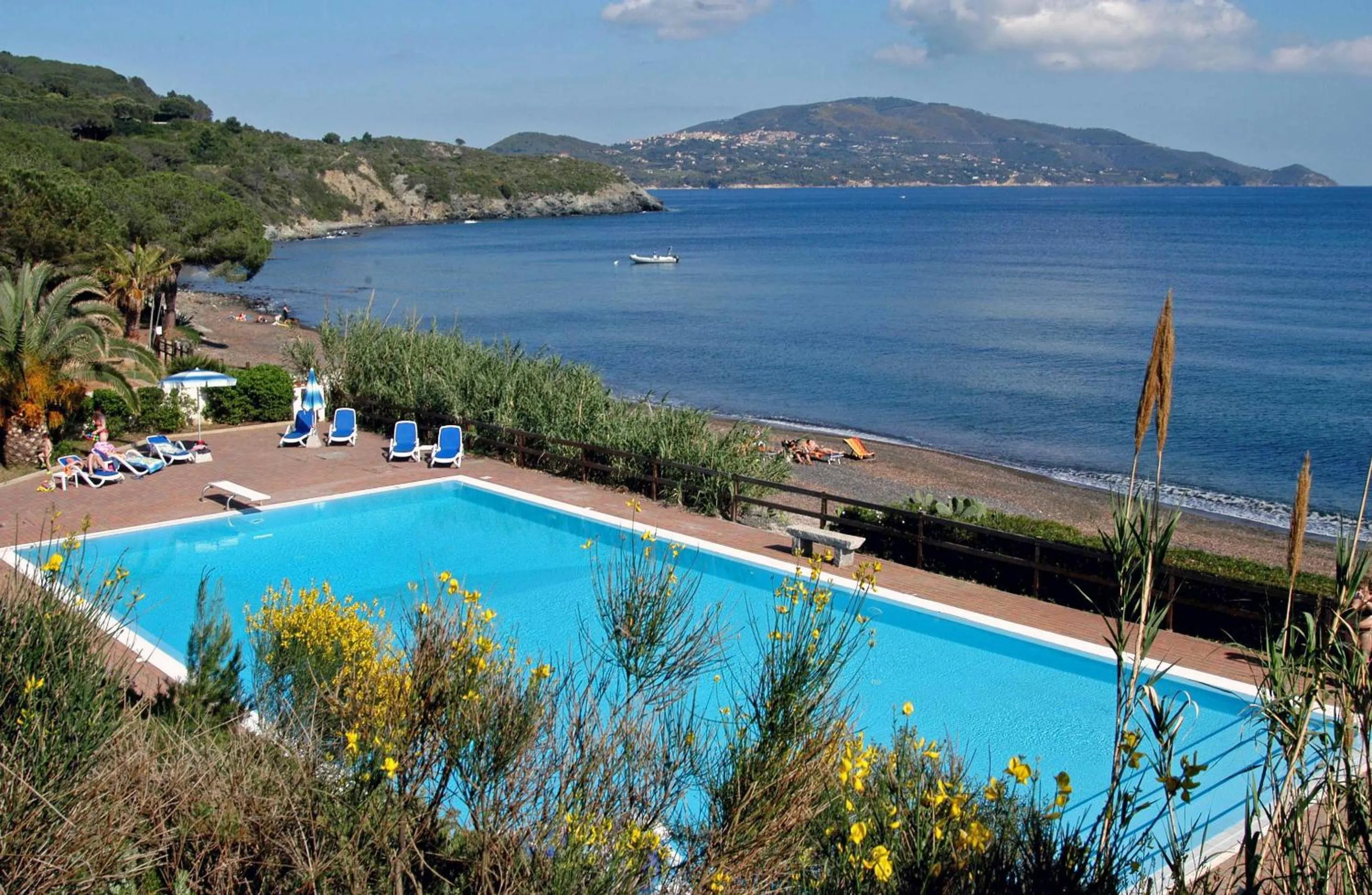 Animals in Hotel Capo Sud