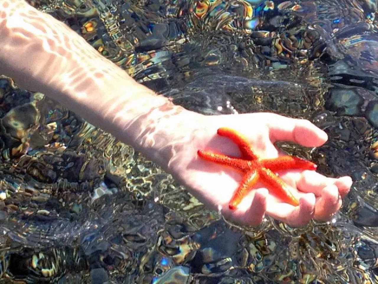 Natural landscape in Hotel Capo Sud