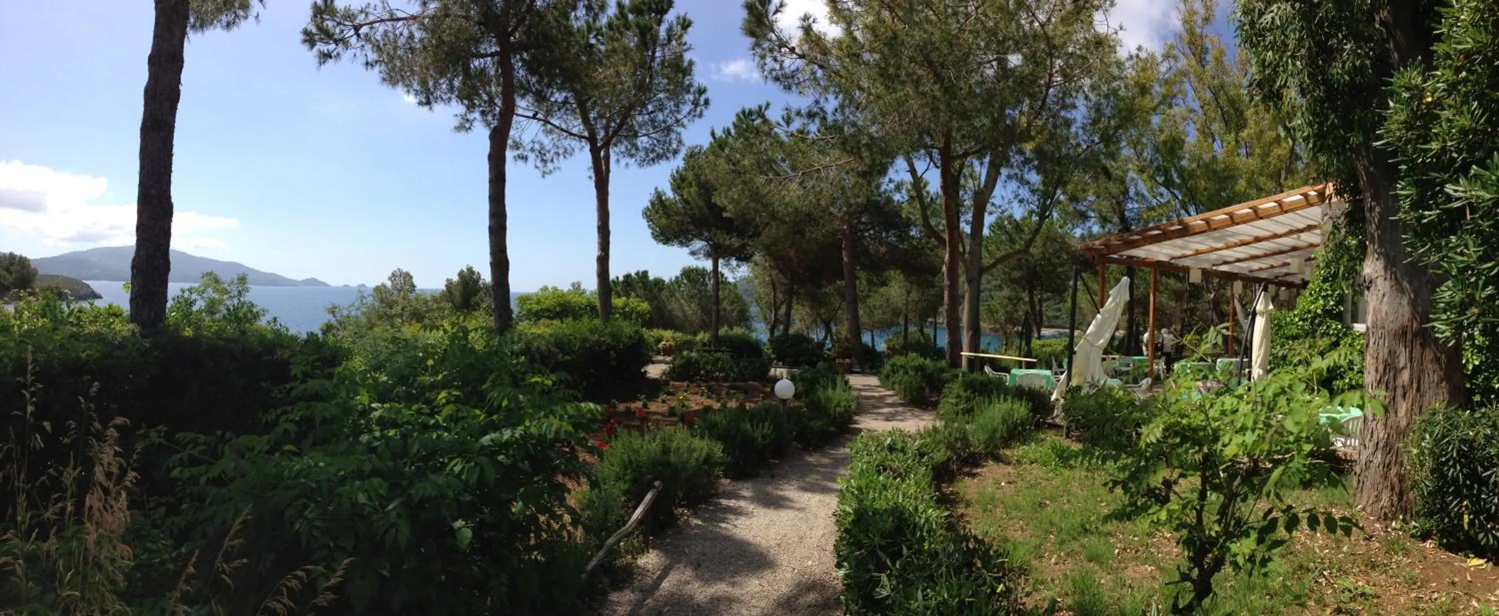 Garden in Hotel Capo Sud