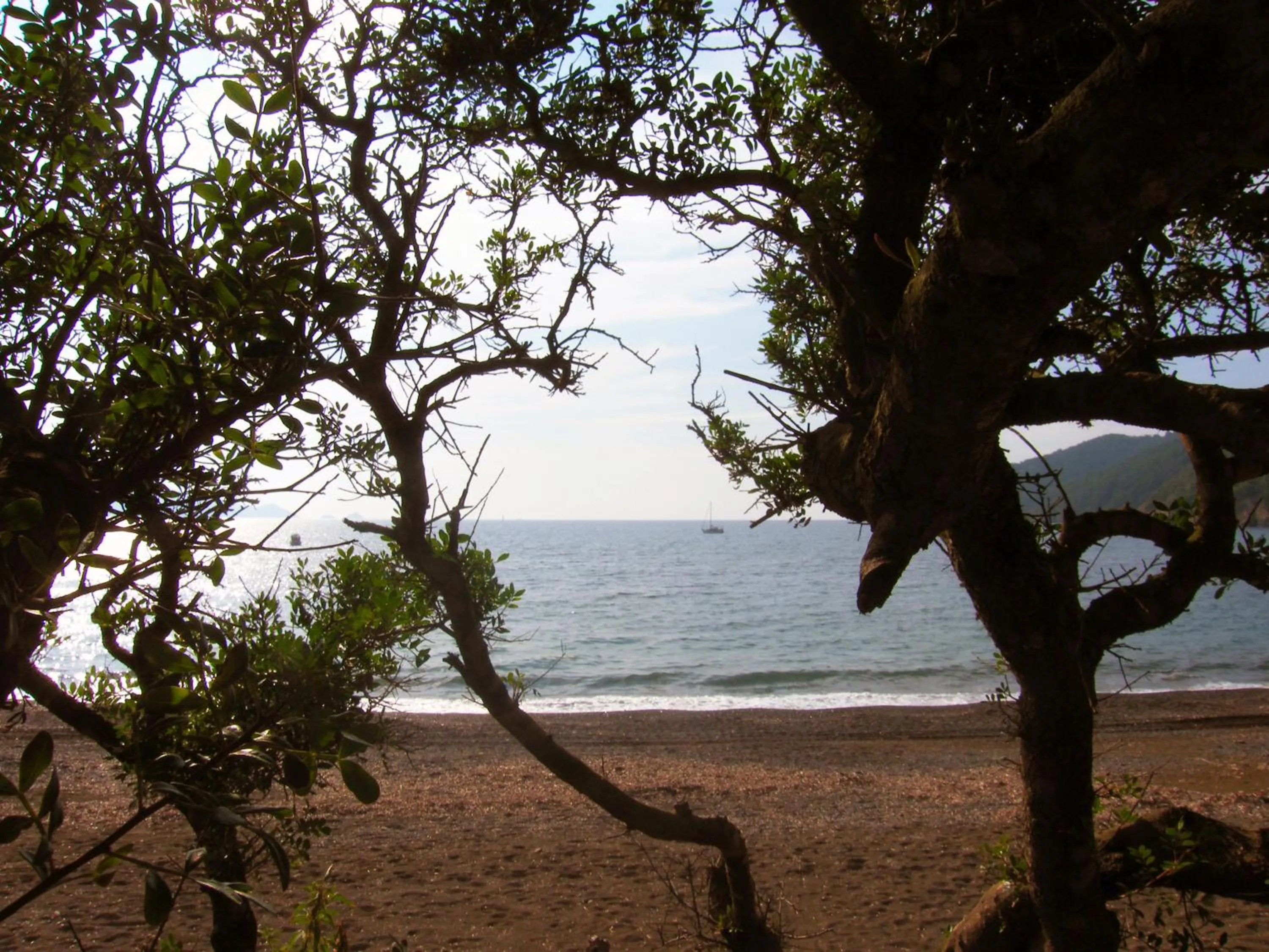 Day in Hotel Capo Sud