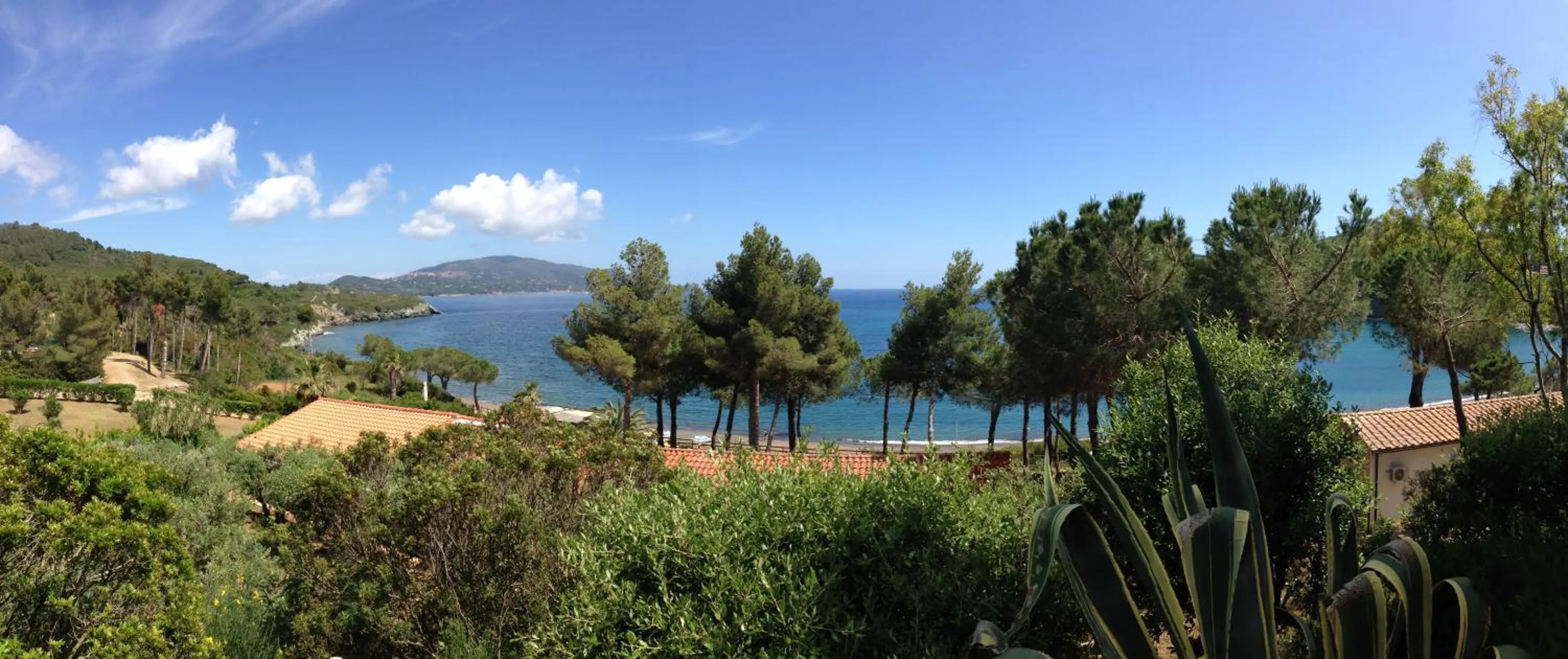 Natural landscape in Hotel Capo Sud
