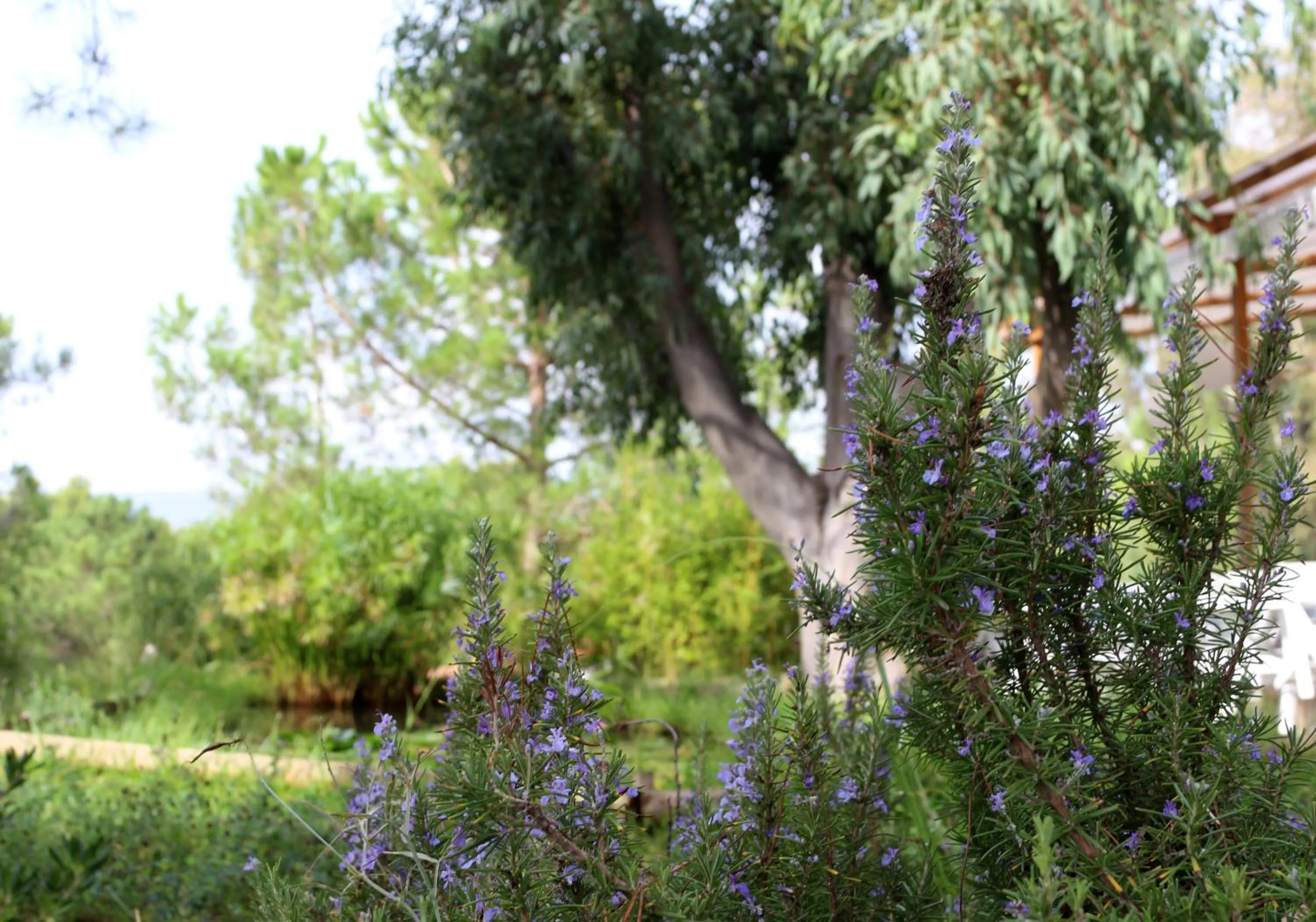 Natural landscape in Hotel Capo Sud