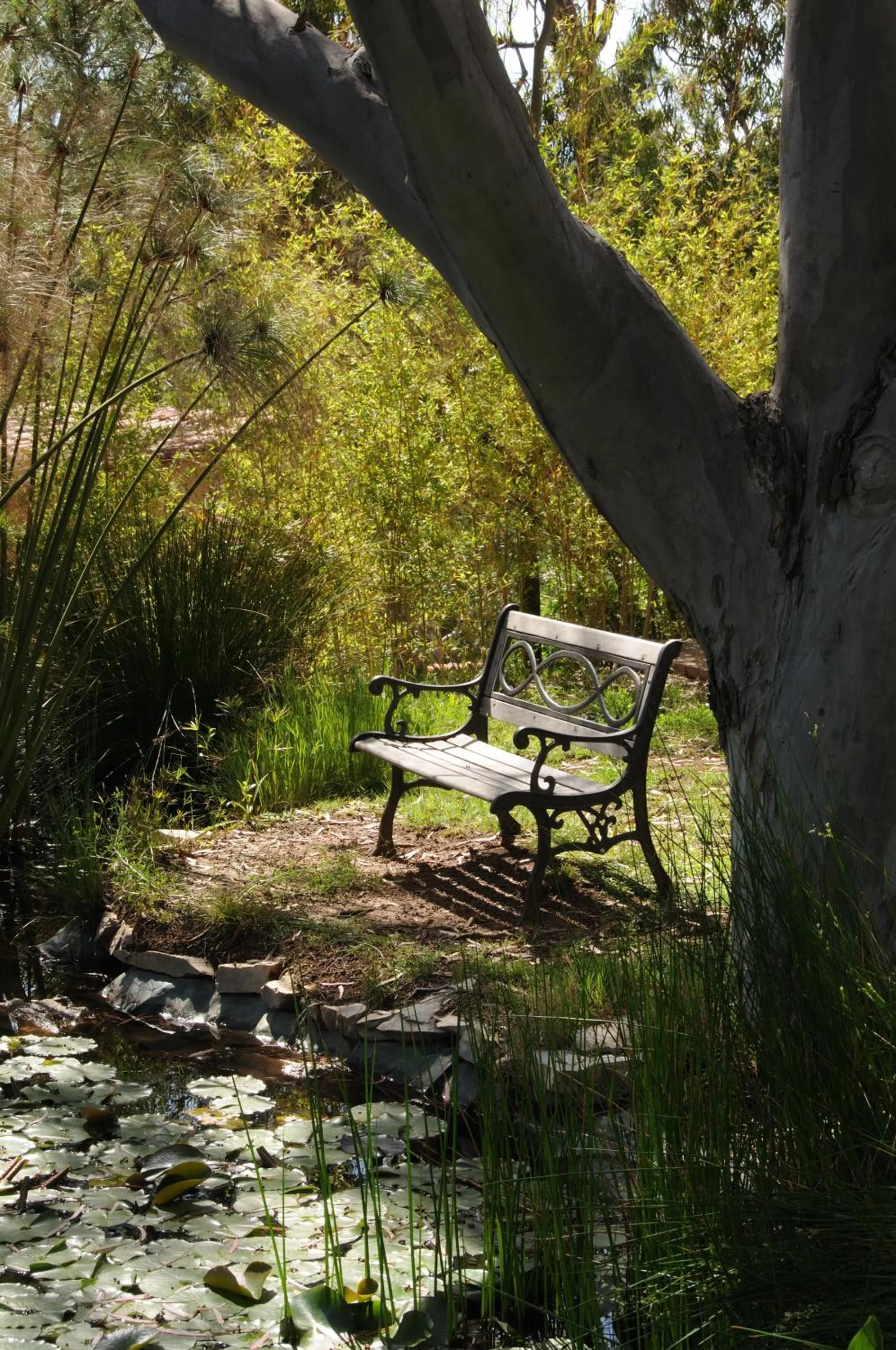 Day in Hotel Capo Sud