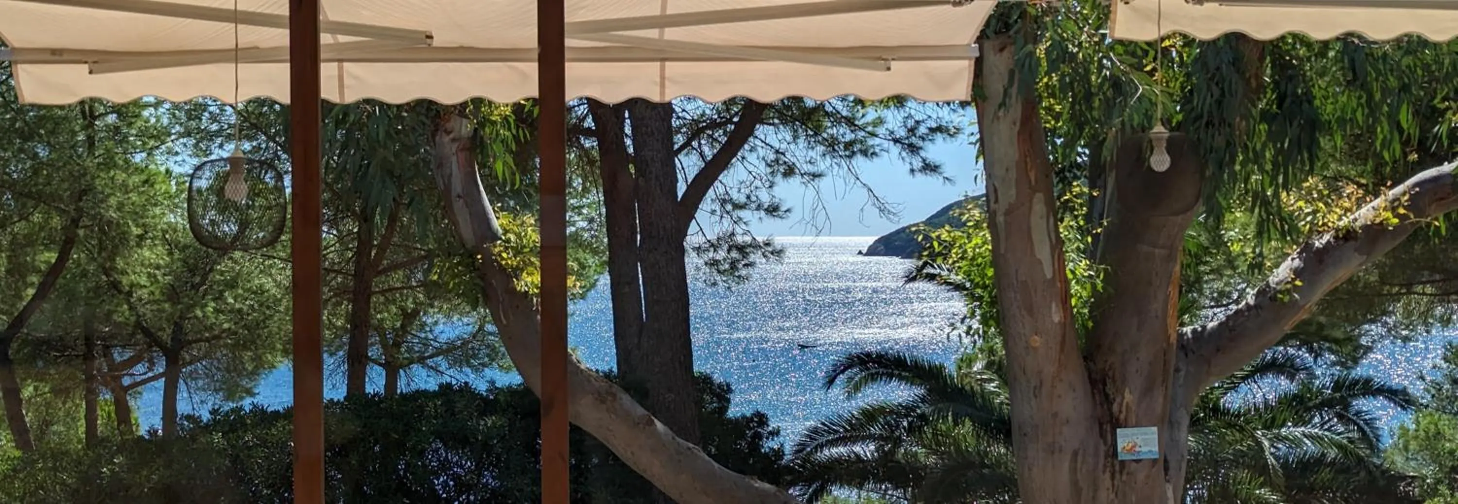 Restaurant/places to eat in Hotel Capo Sud