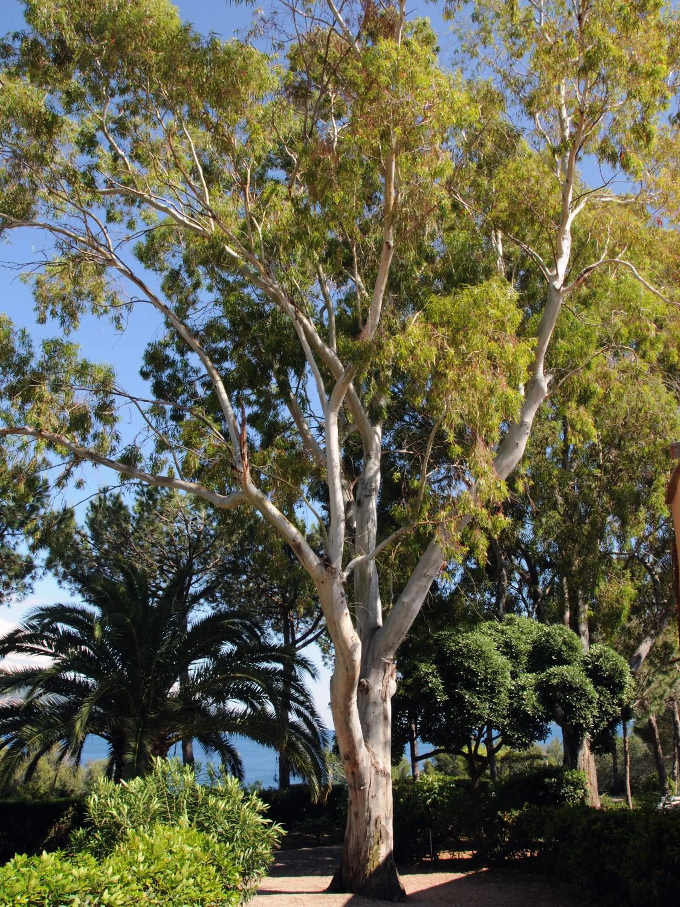 Natural landscape in Hotel Capo Sud