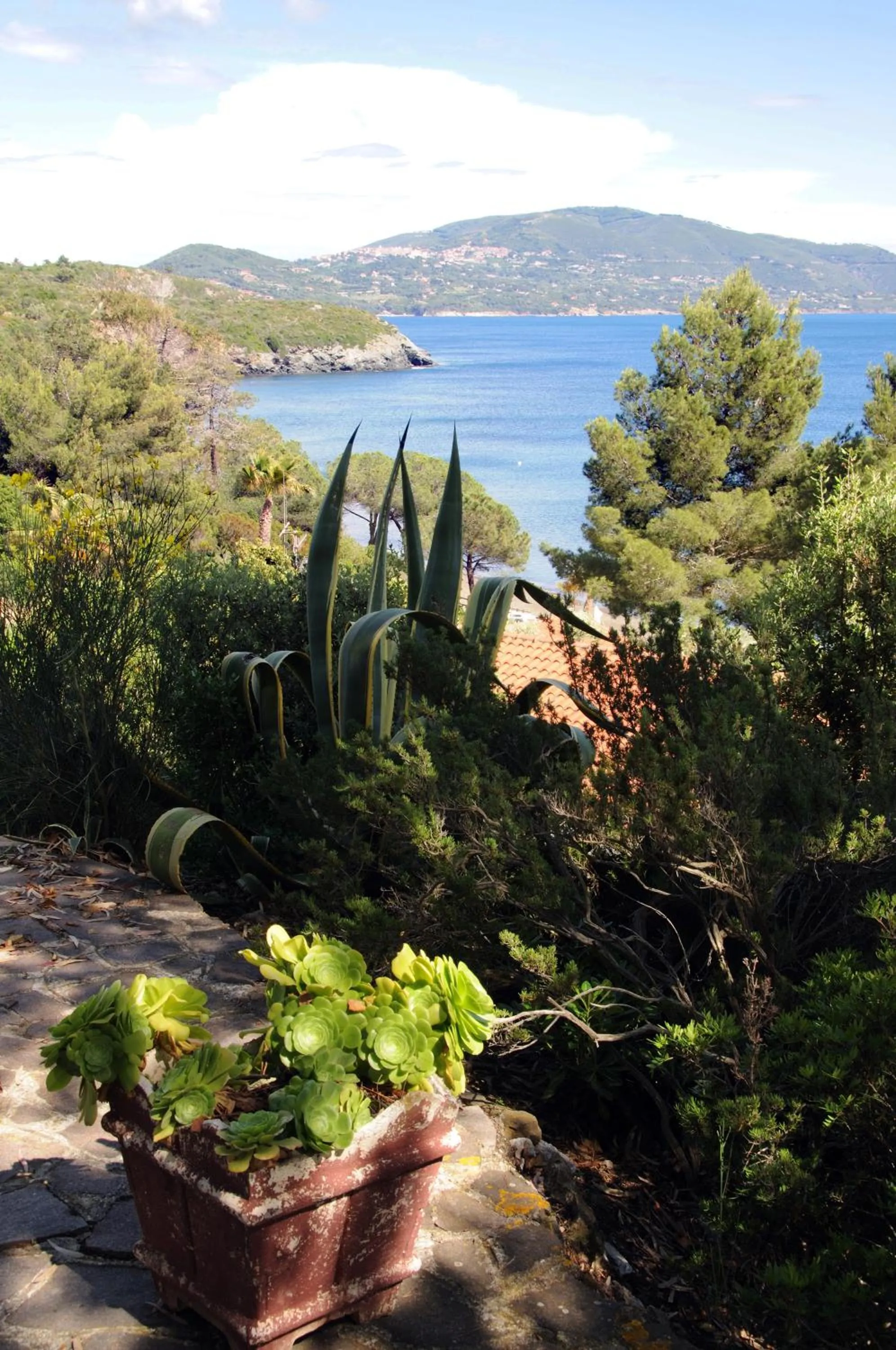 Day in Hotel Capo Sud