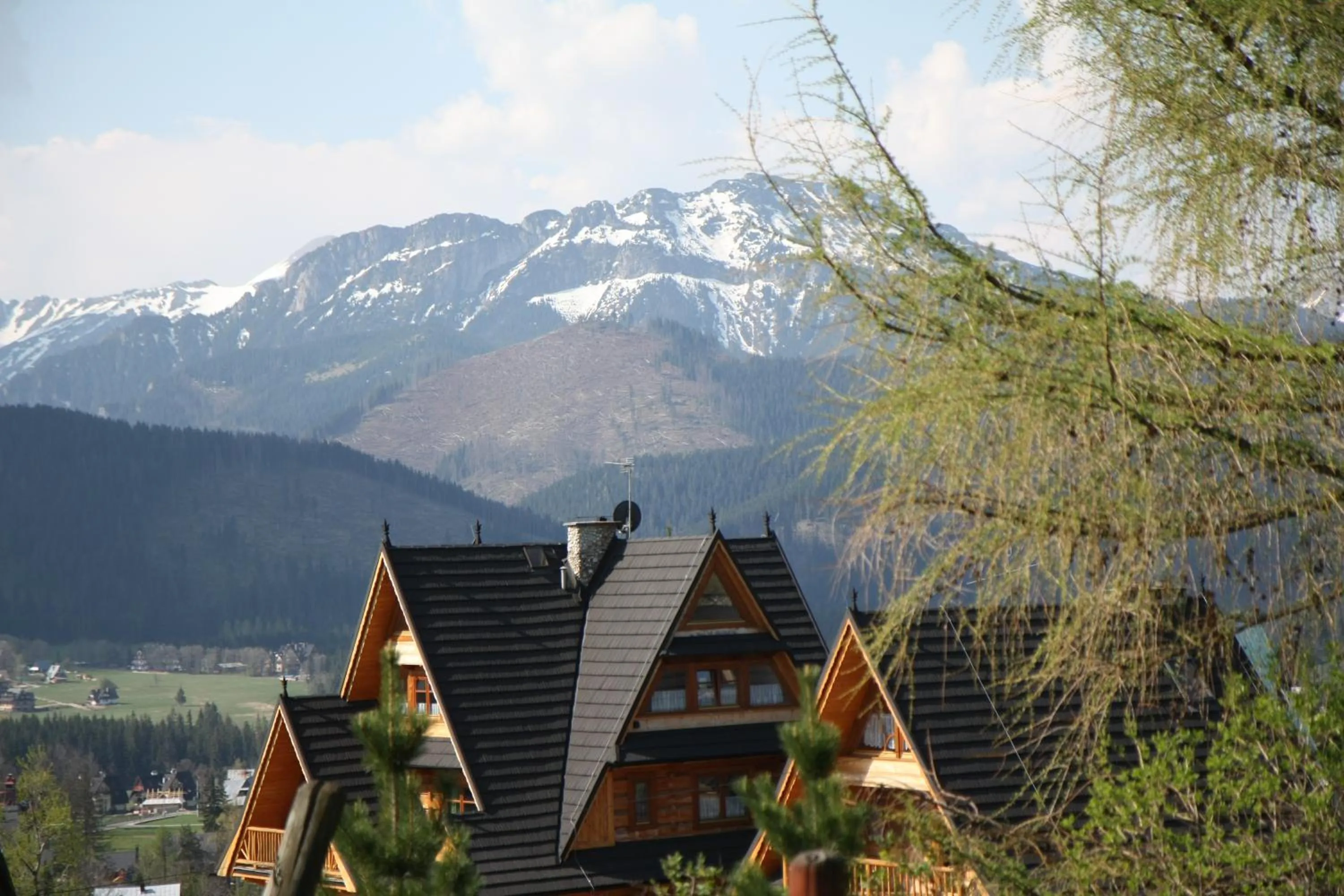 Natural landscape in Apartamenty Panorama