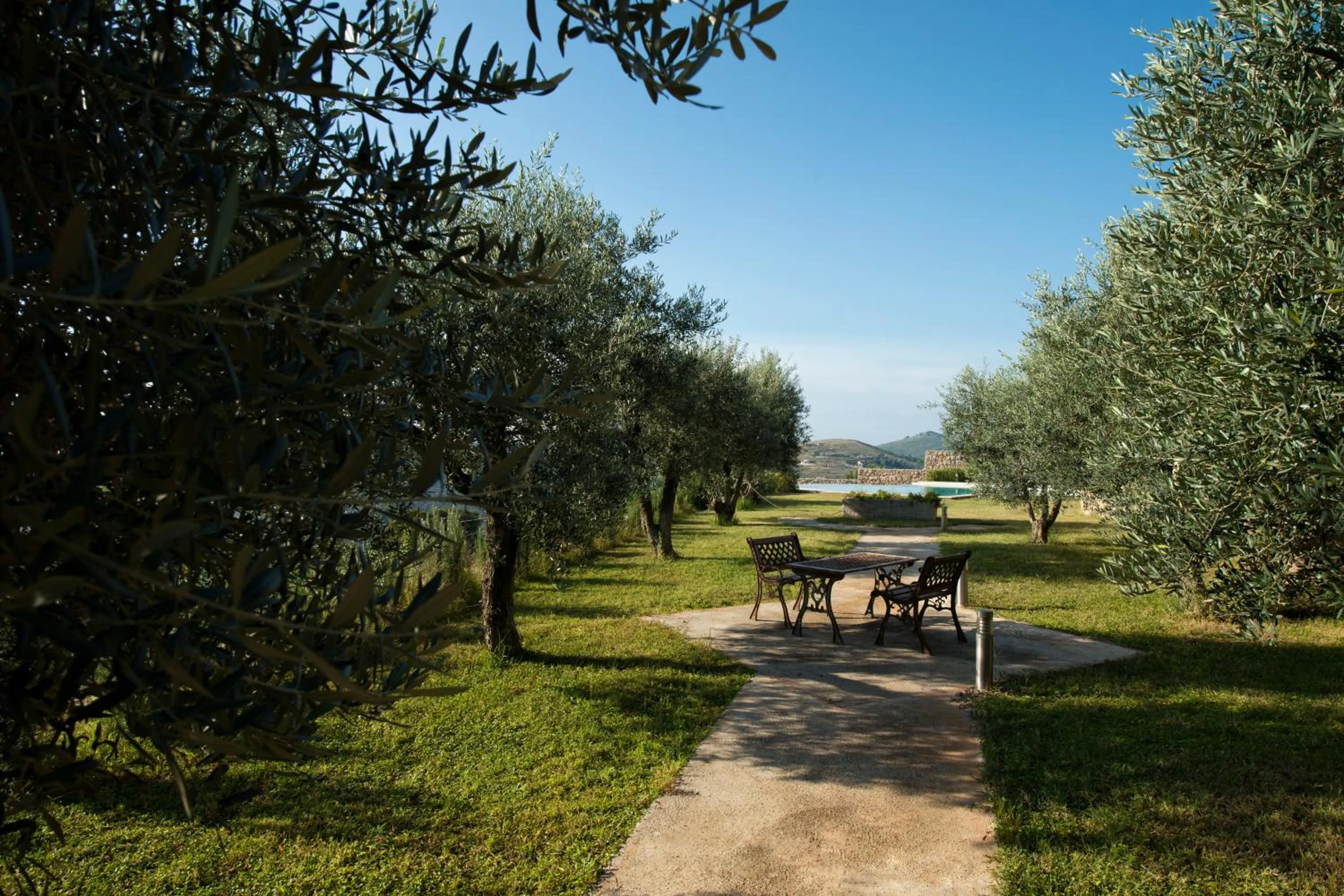 Garden in Collina Degli Ulivi B&B