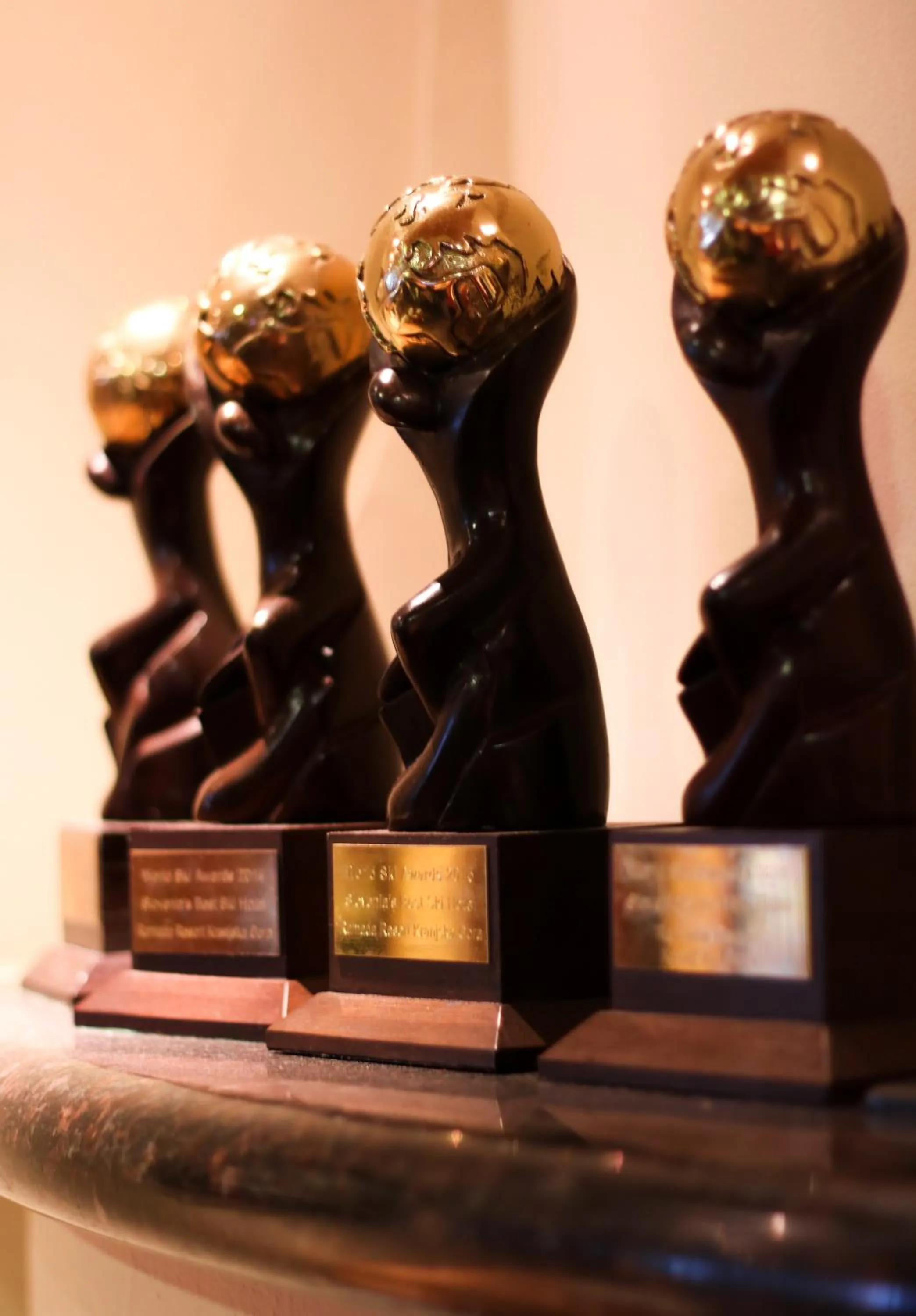 Certificate/Award in Ramada Resort Kranjska Gora