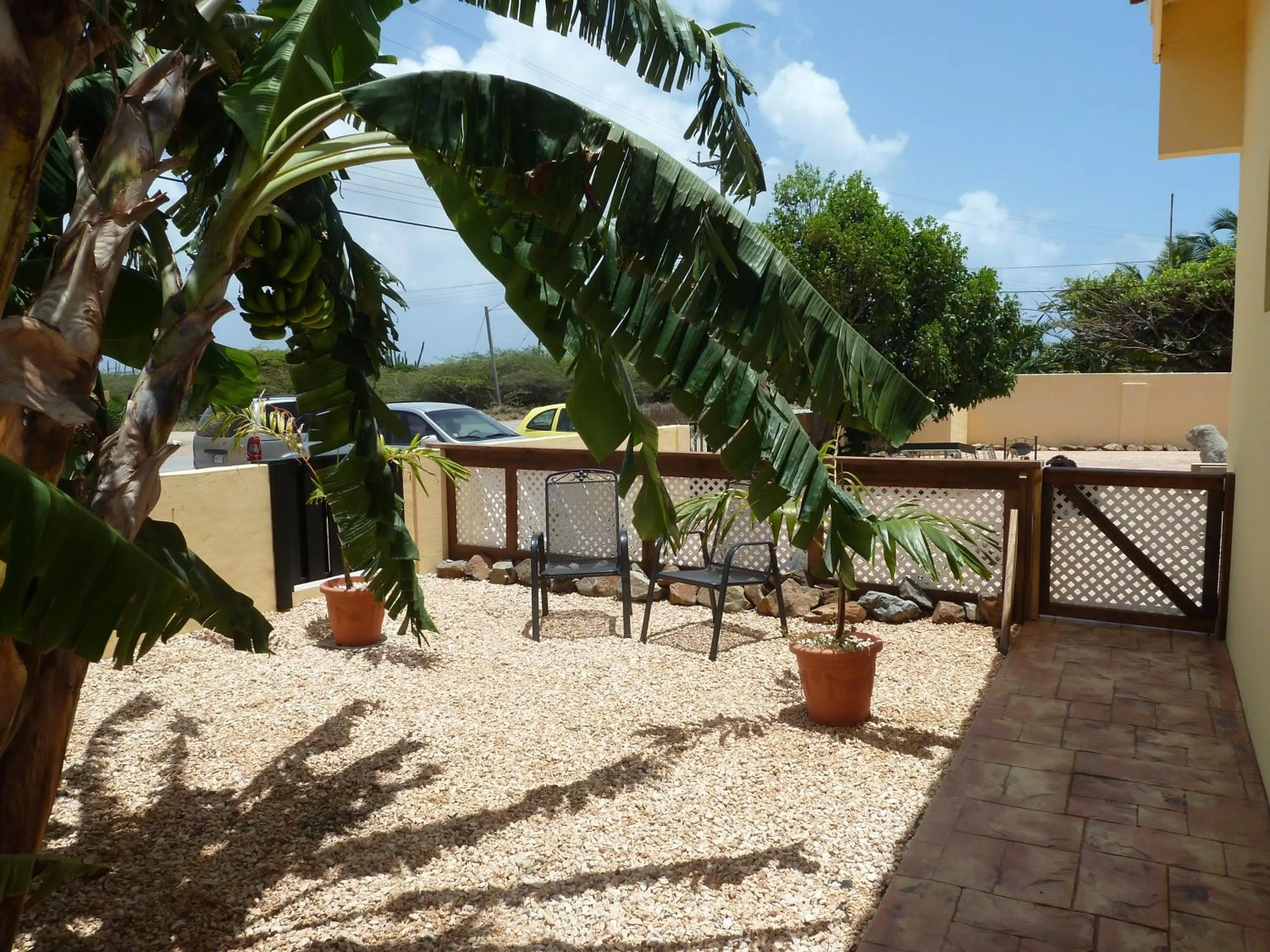 Garden in Alta Montaña