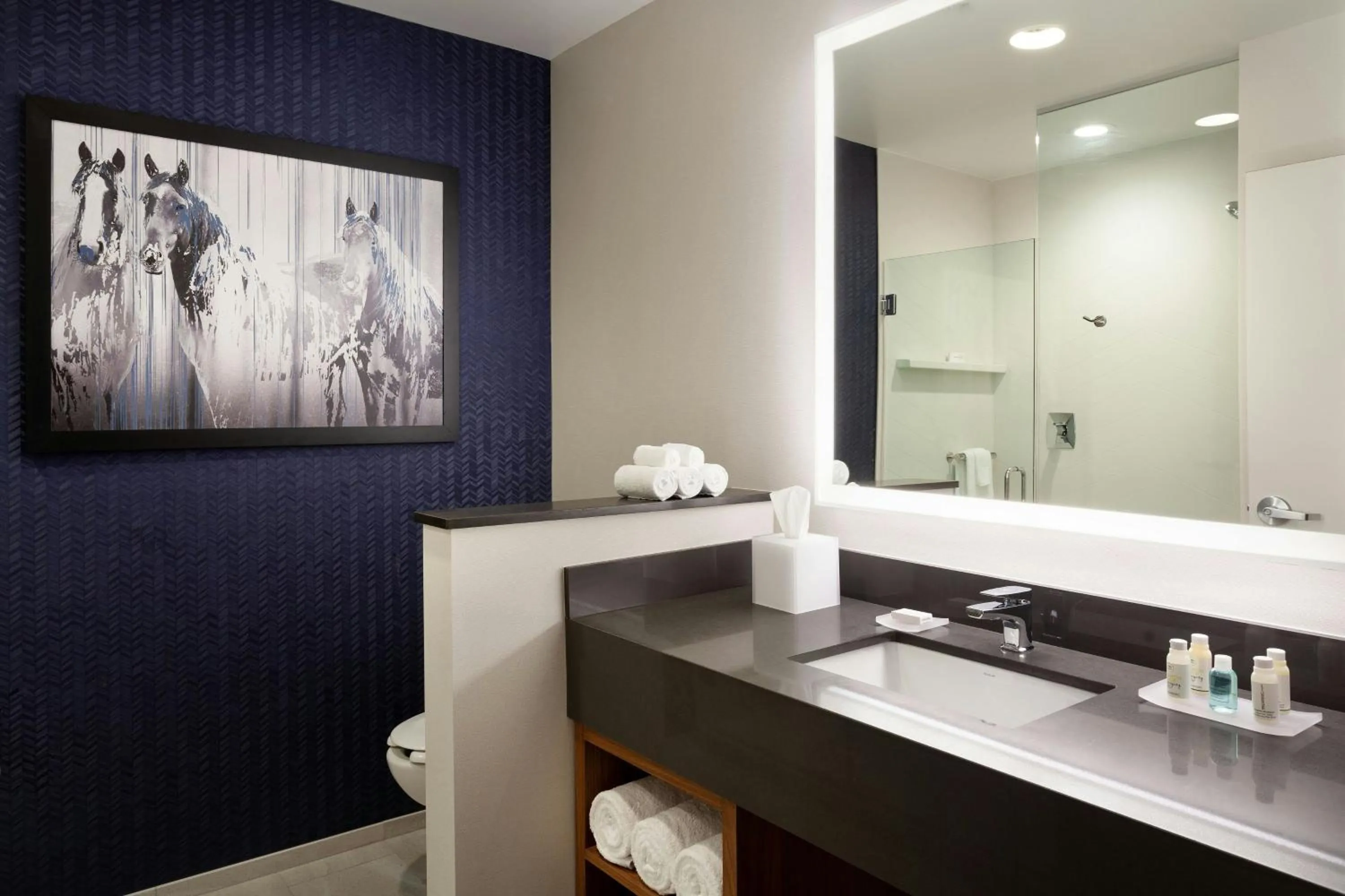 Bathroom in Fairfield Inn & Suites by Marriott Wellington-West Palm Beach