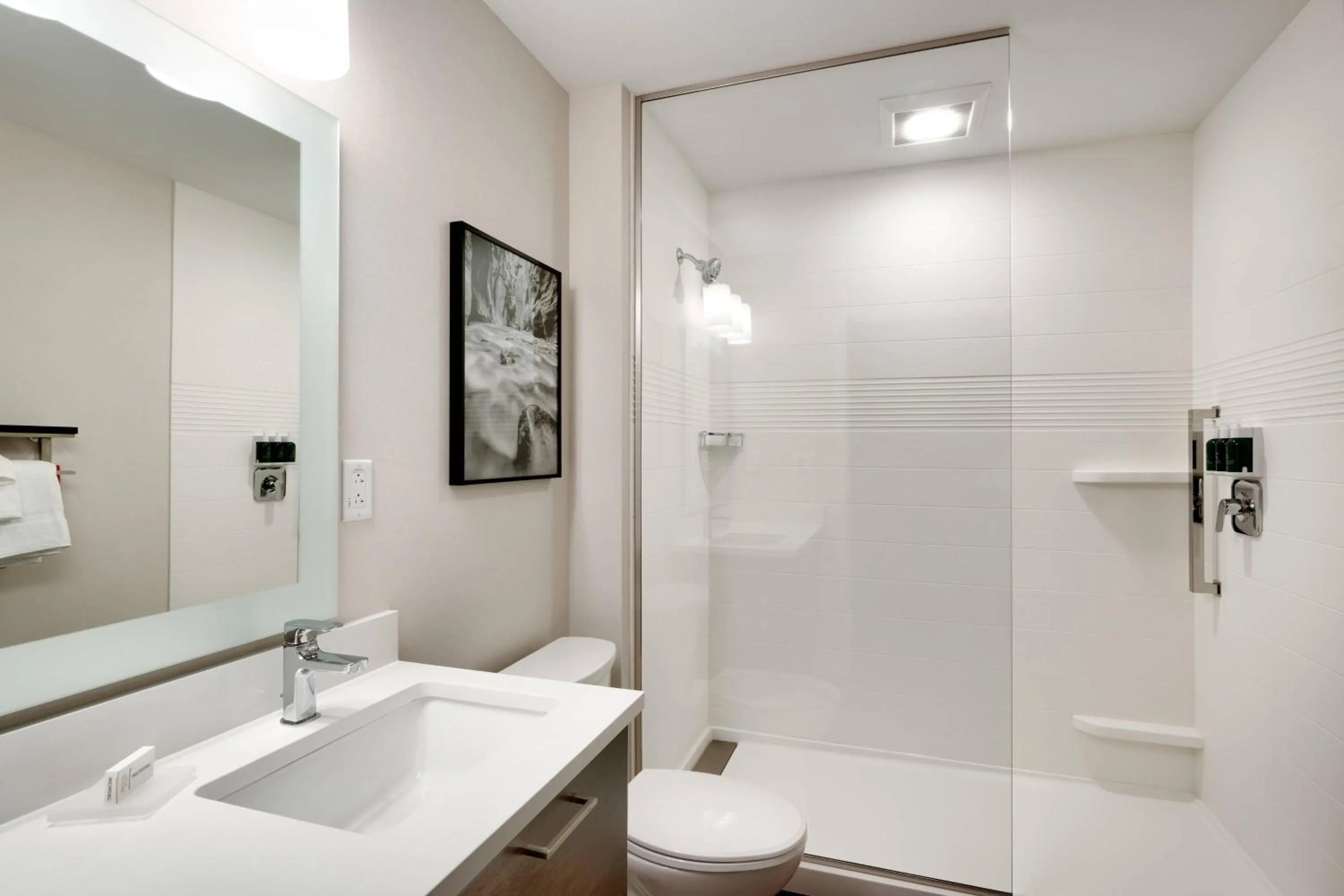 Bathroom in TownePlace Suites by Marriott Salt Lake City Downtown