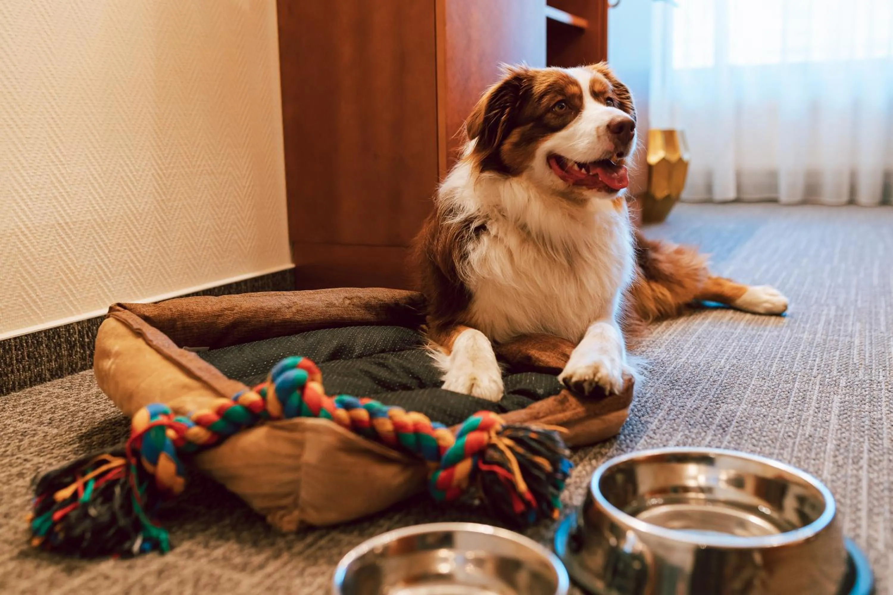 Animals in Vitranc Apartments